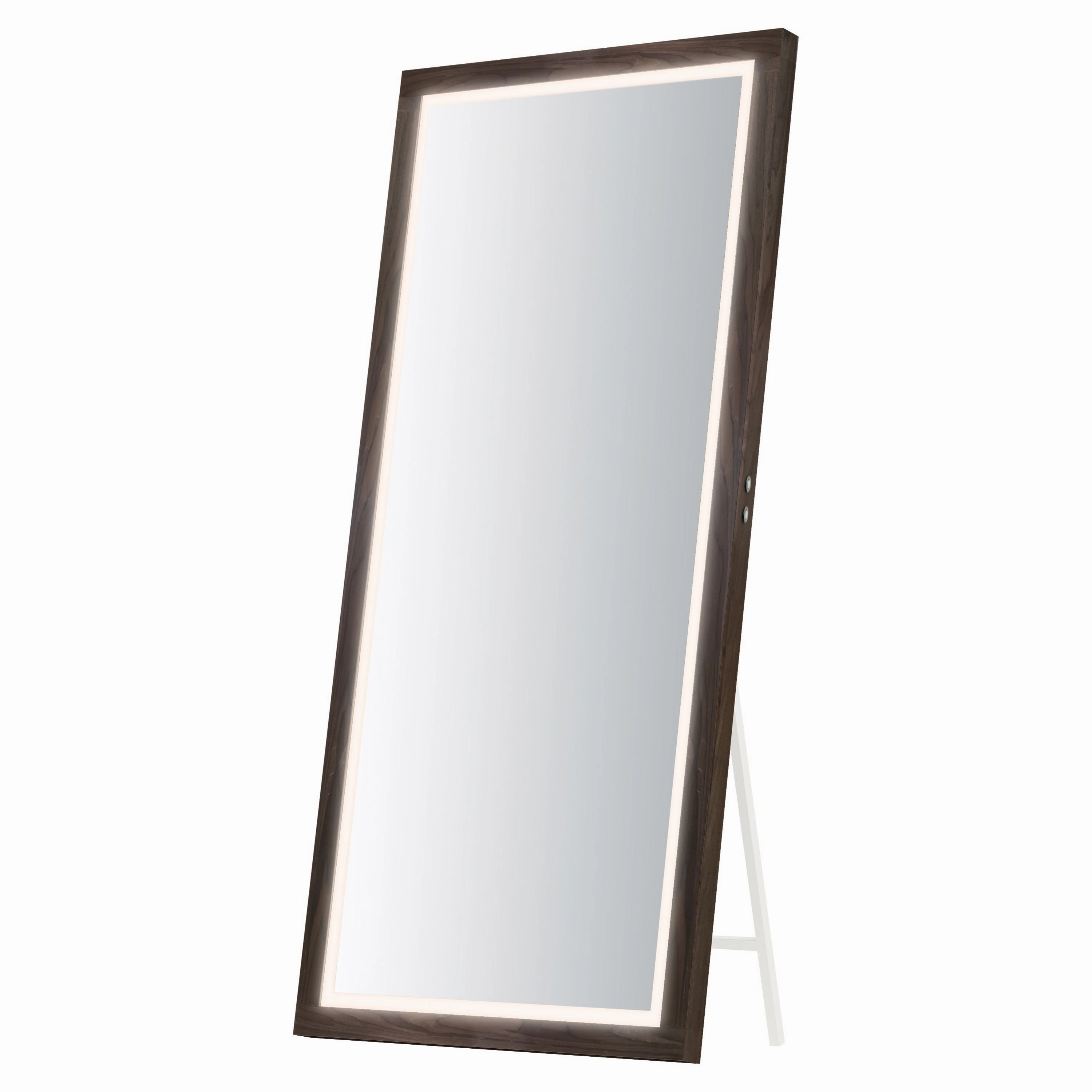 Sawyer 68" x 32" LED Mirror Mirrors,large decorative mirror