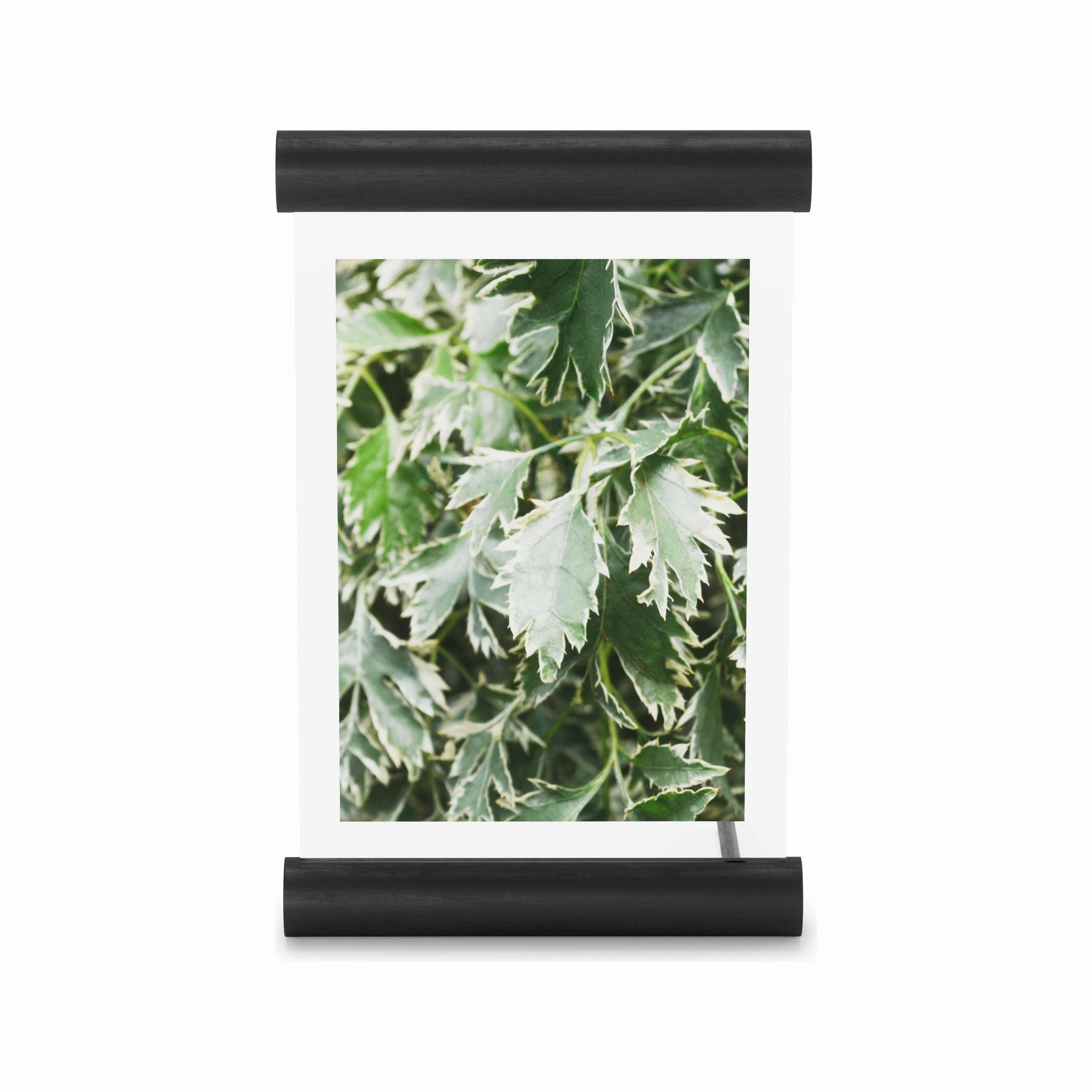 Scroll Picture Frame