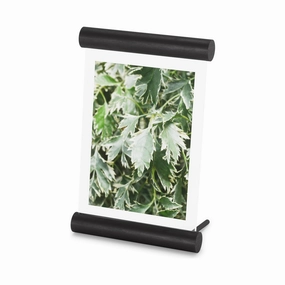 Scroll Picture Frame Photo Displays,photo frame collage wall