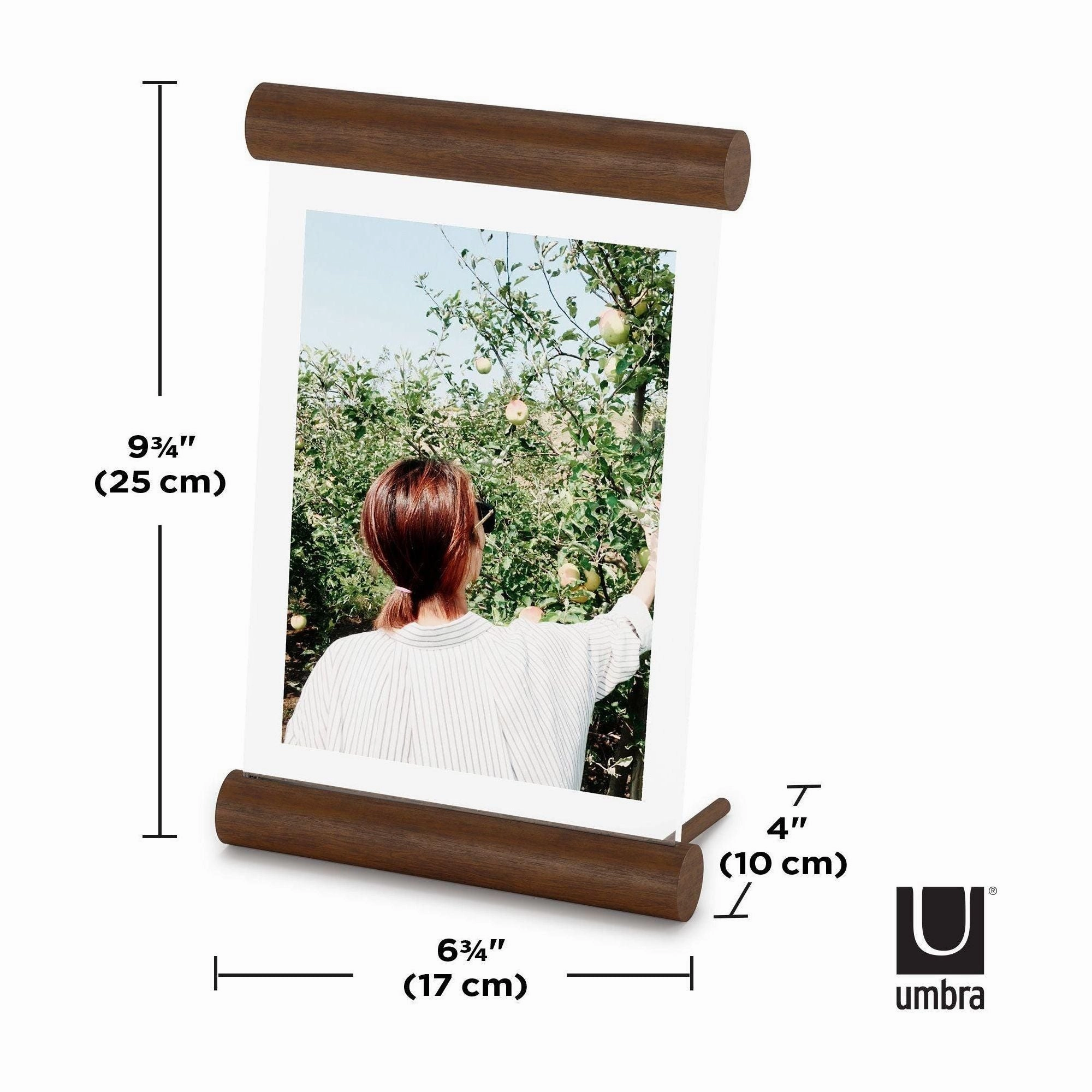 Scroll Picture Frame