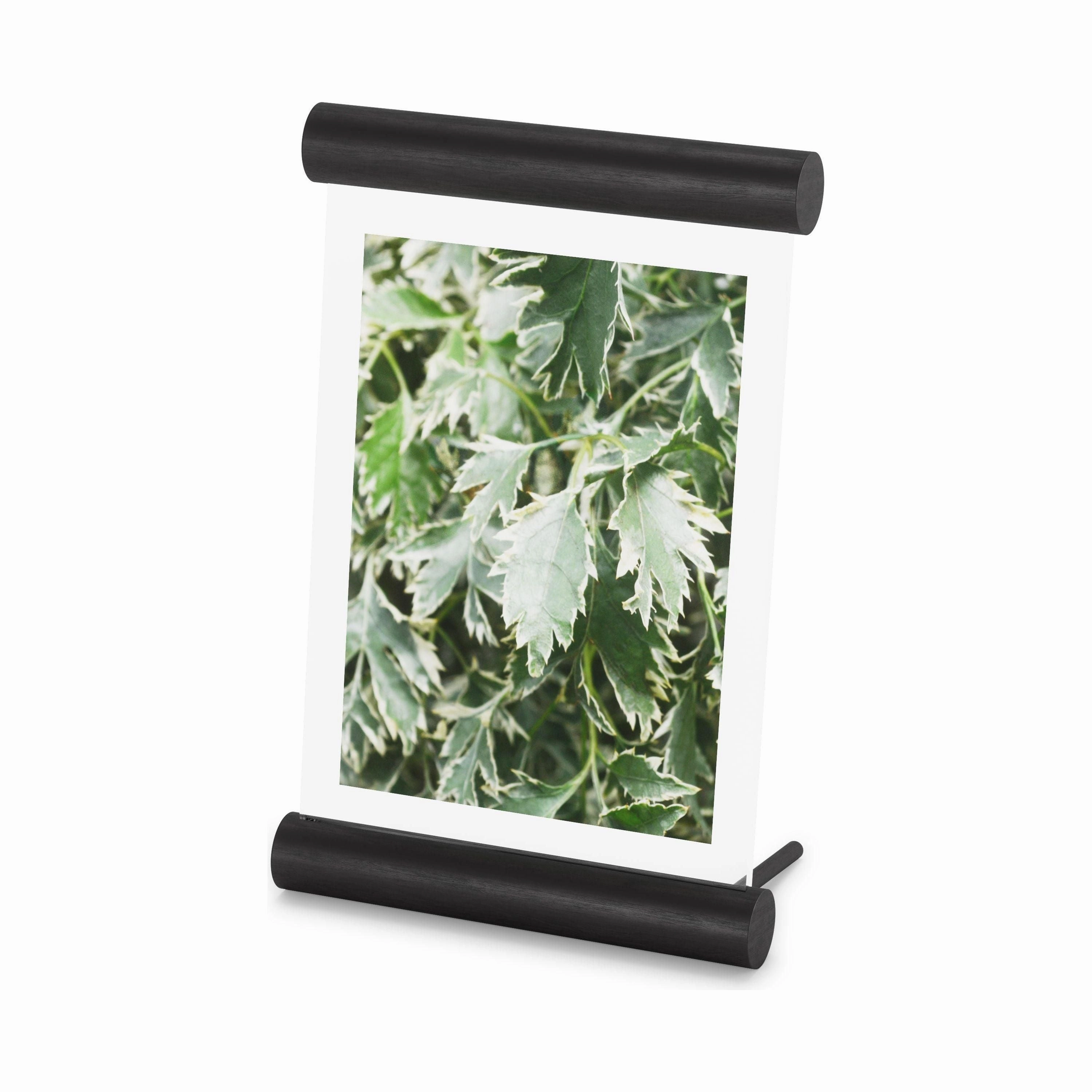 Scroll Picture Frame Photo Displays,photo frame collage wall