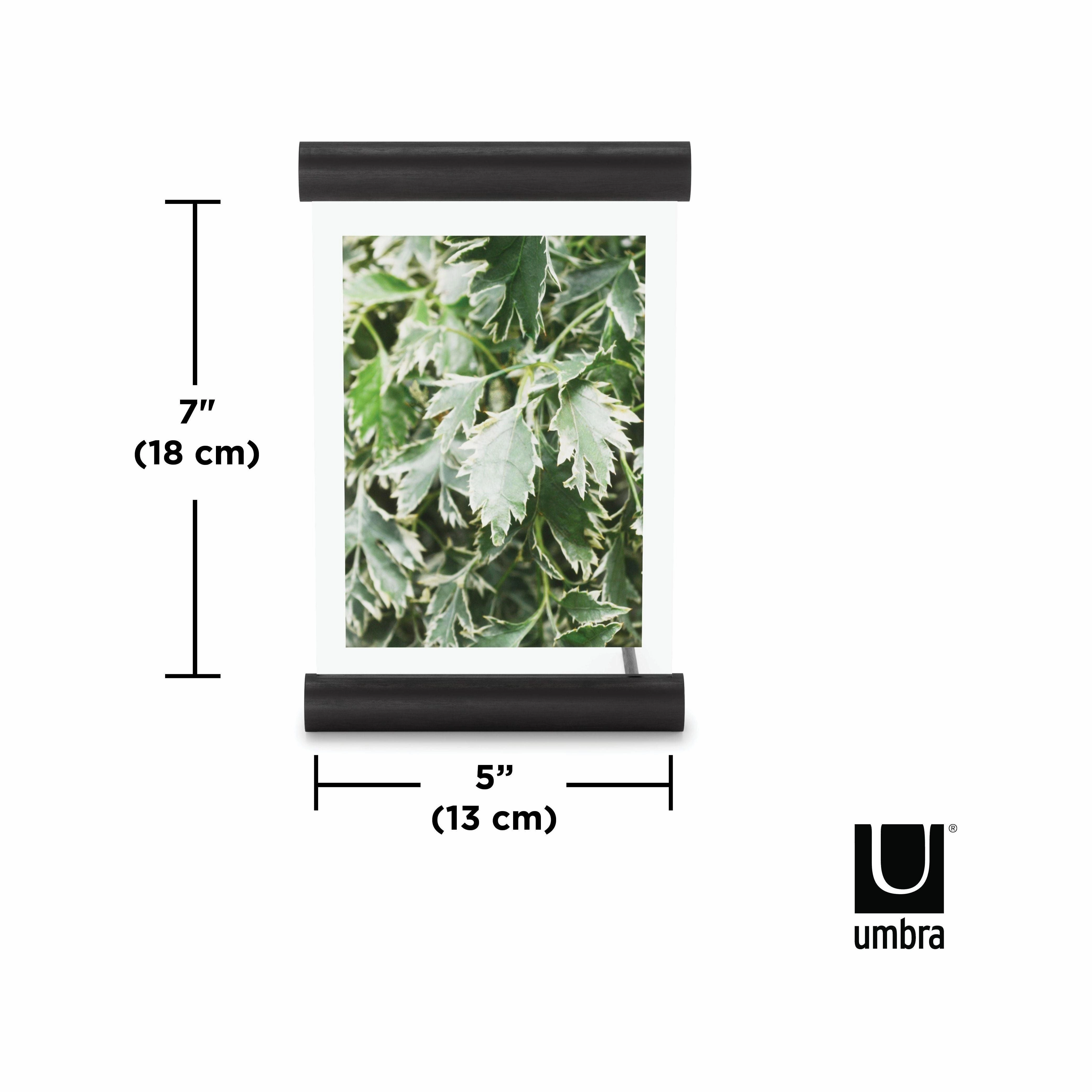 Scroll Picture Frame