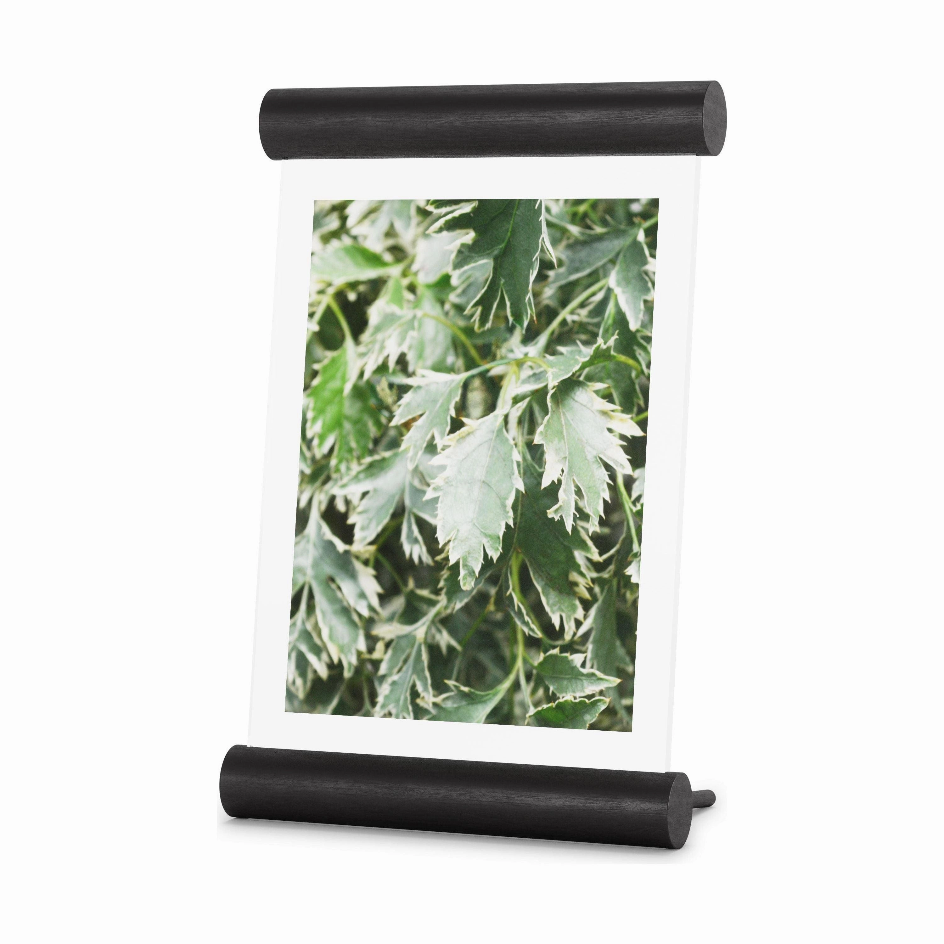 Scroll Picture Frame