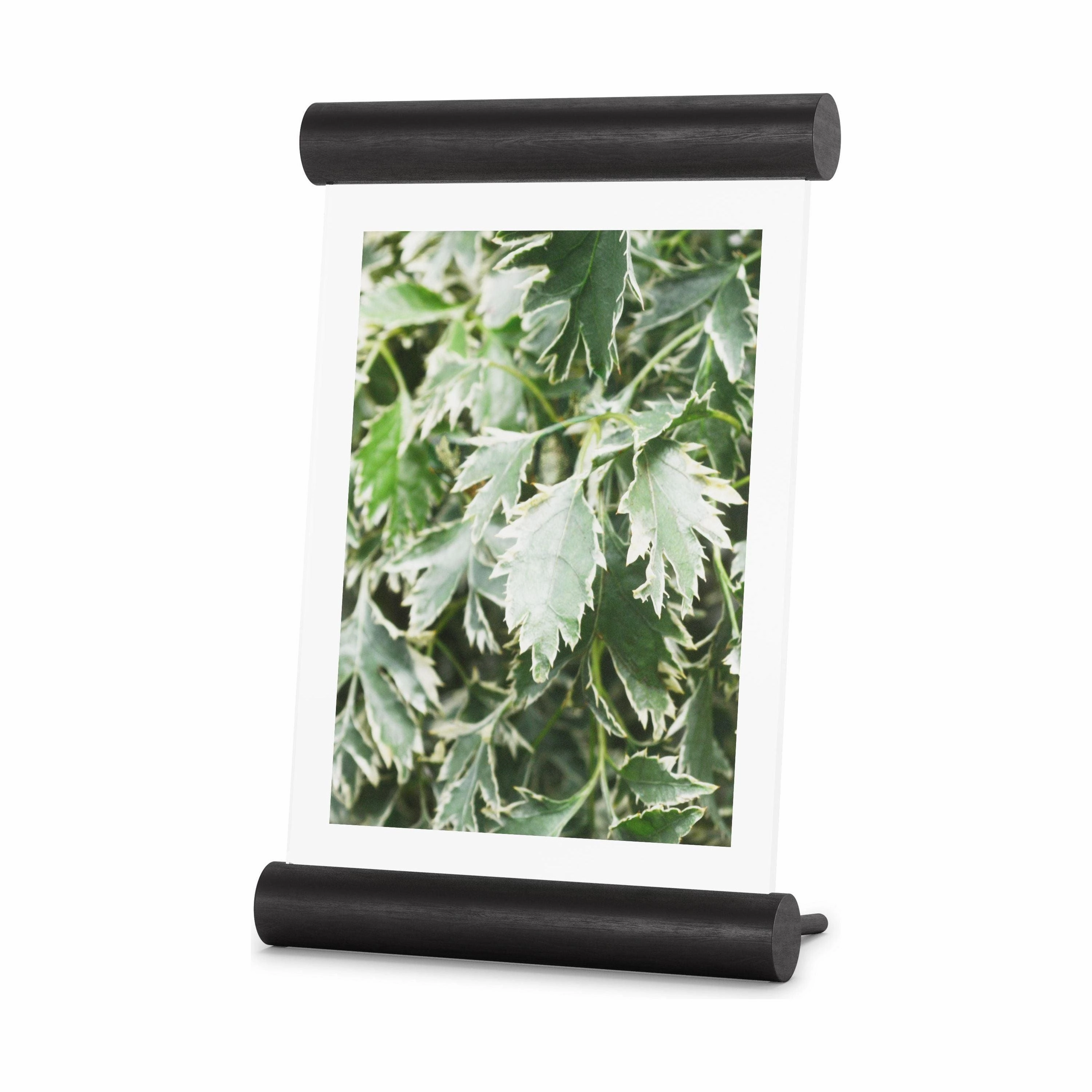 Scroll Picture Frame