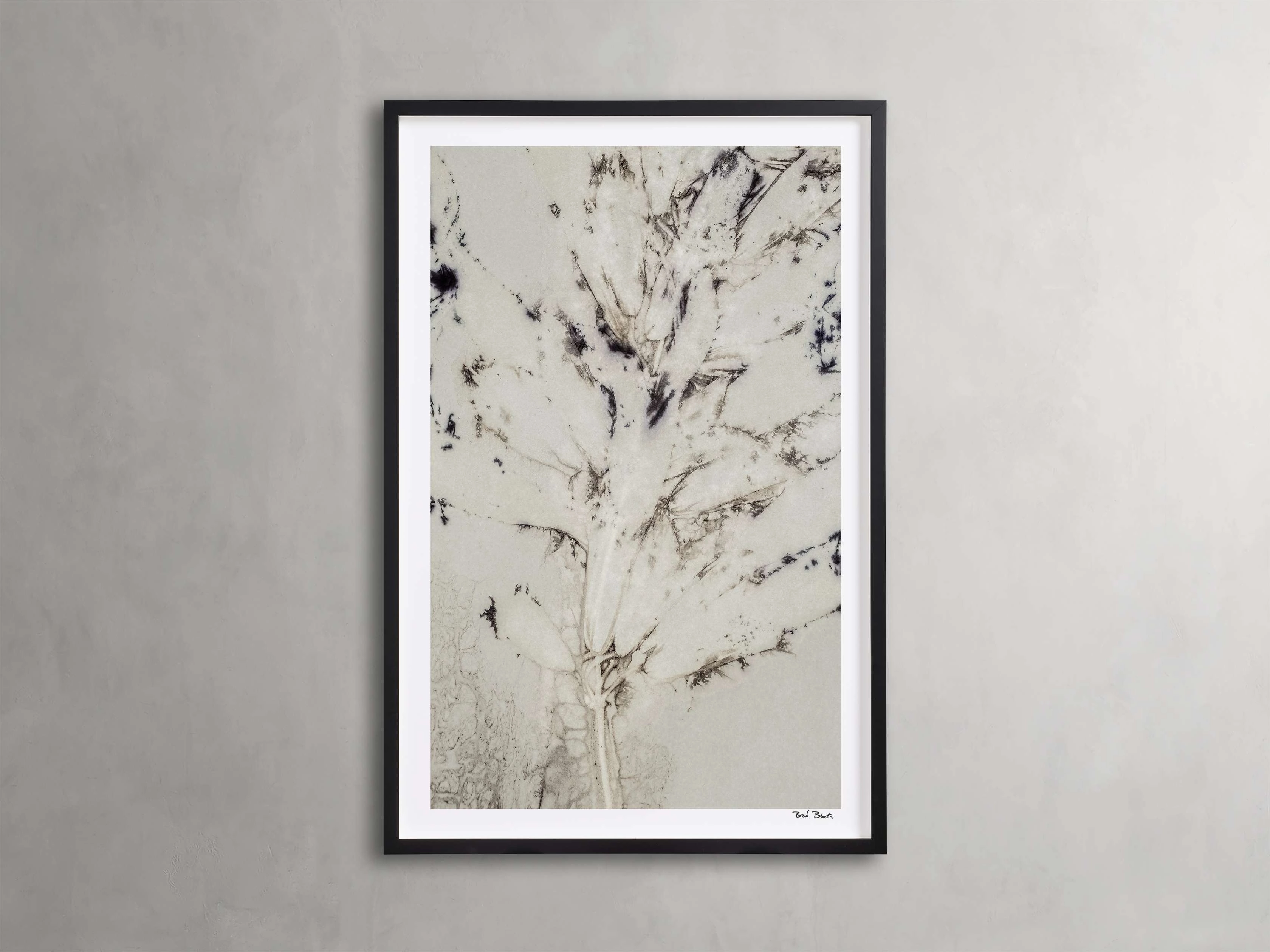 Sense of Salvia Framed Print Wall Art,canvas wall art set