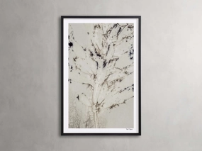 Sense of Salvia Framed Print Wall Art,canvas wall art set