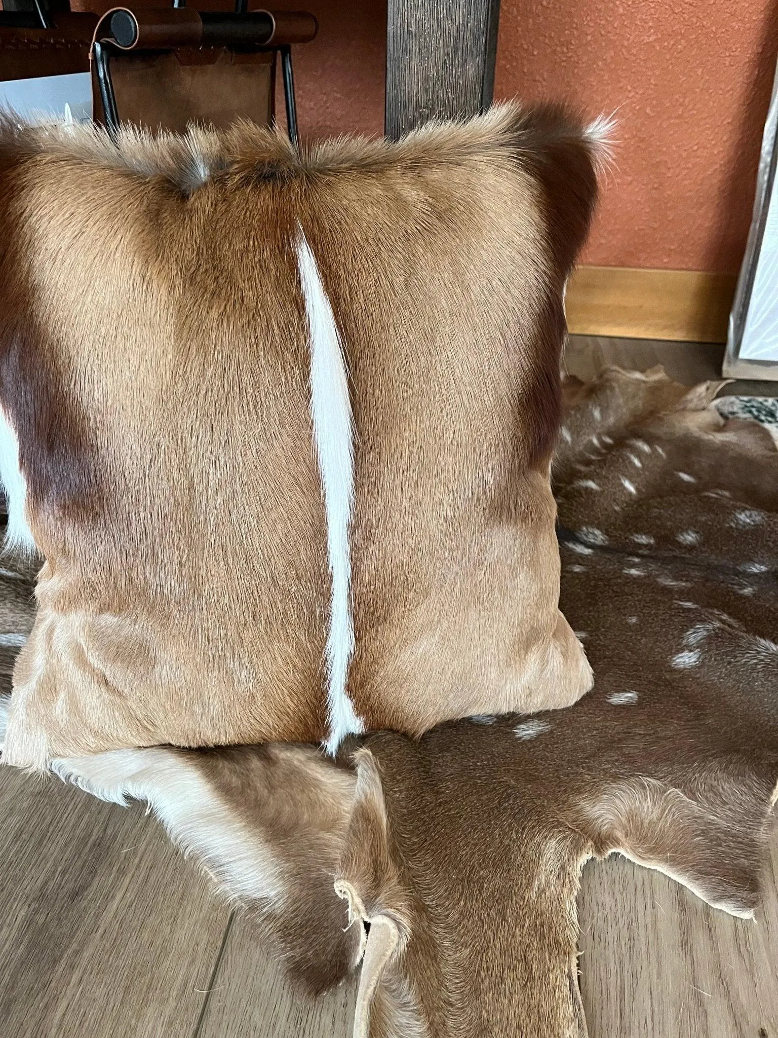 Springbok Accent Pillows