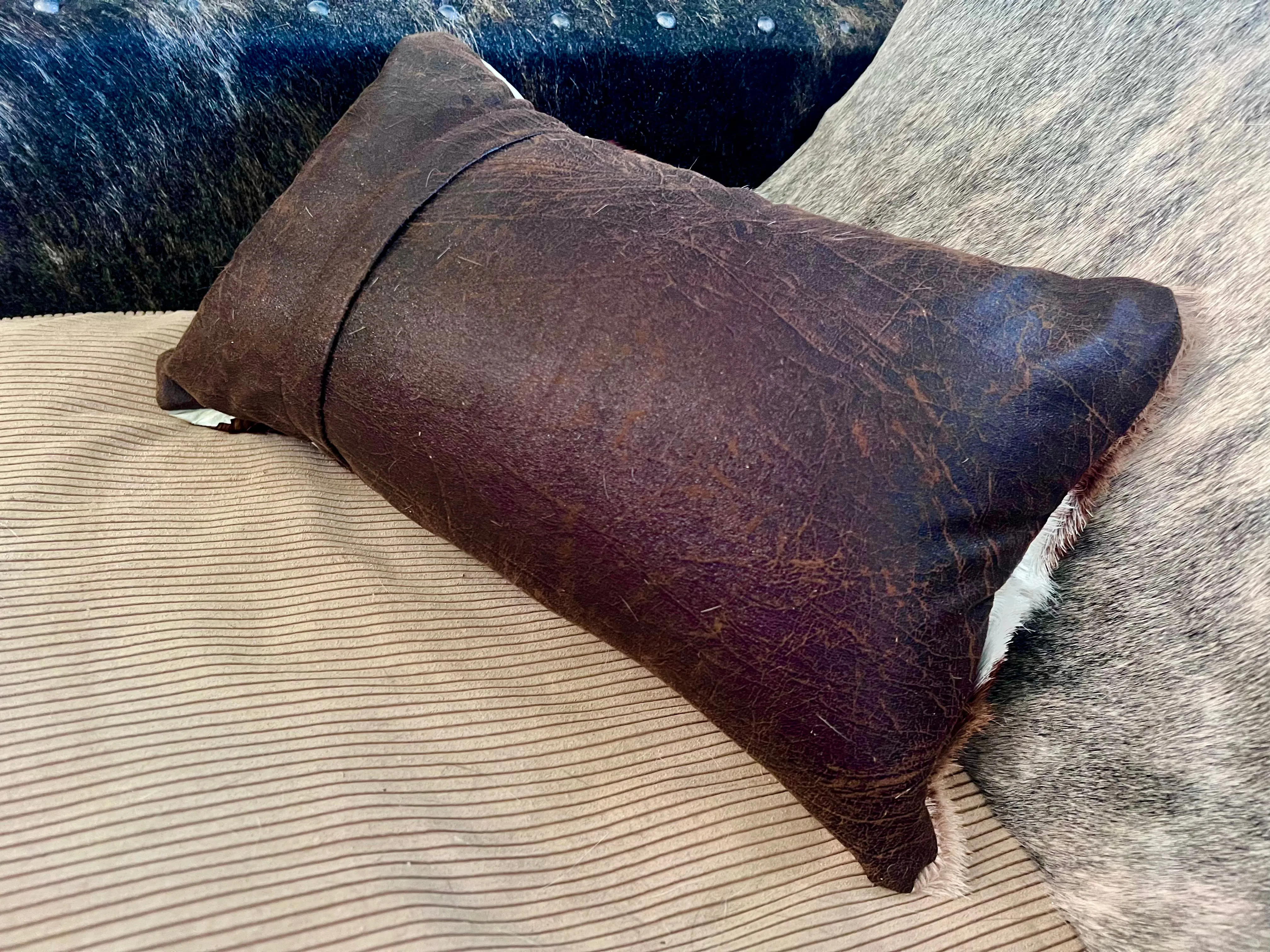 Springbok Accent Pillows