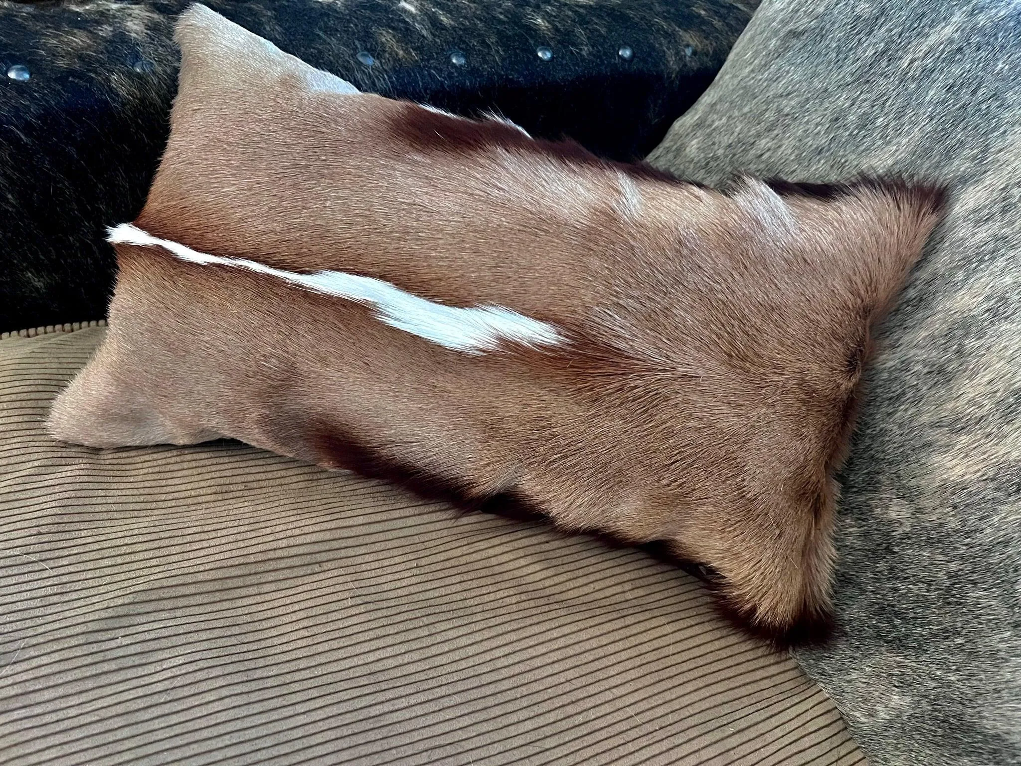 Springbok Accent Pillows