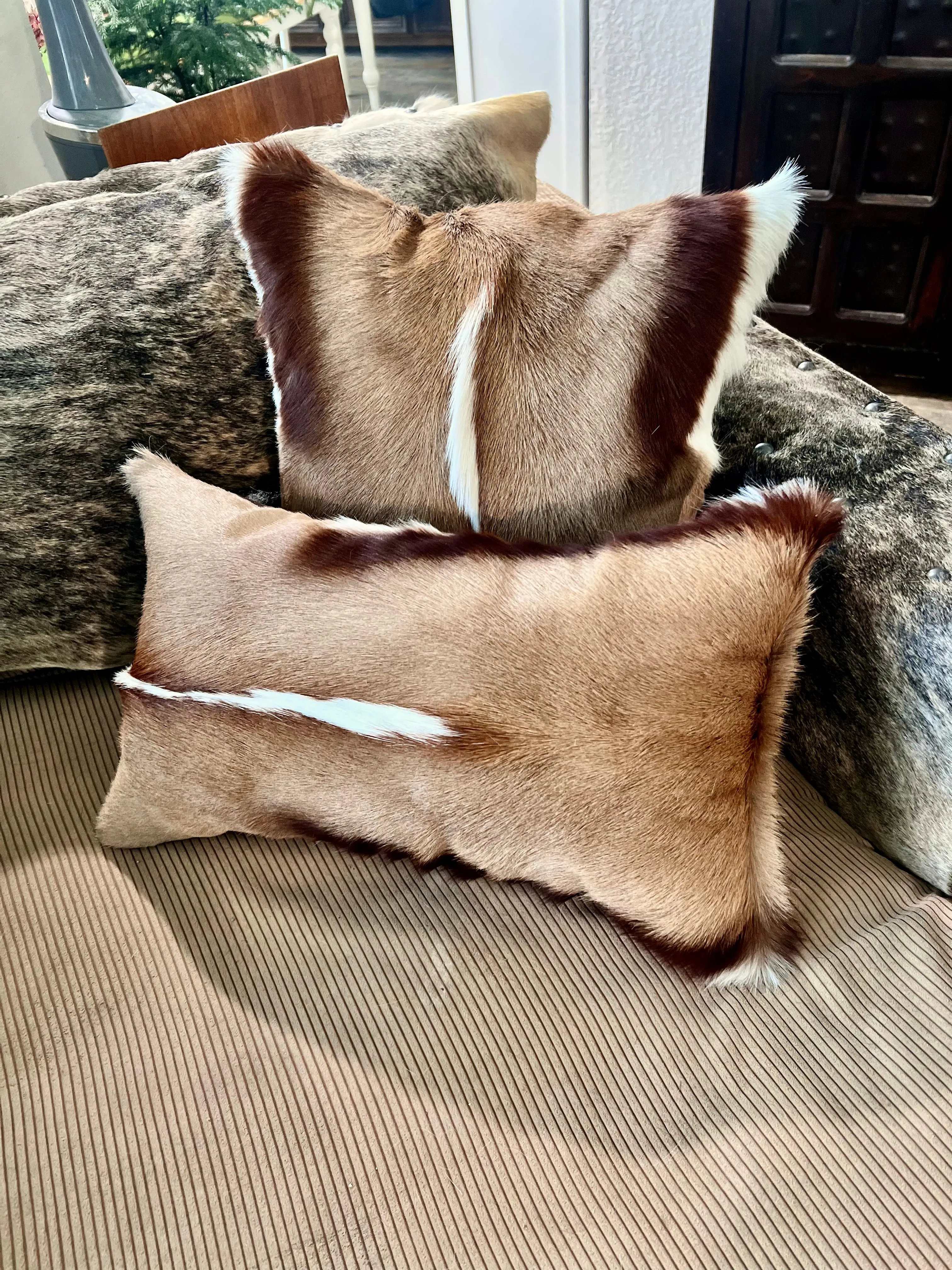 Springbok Accent Pillows