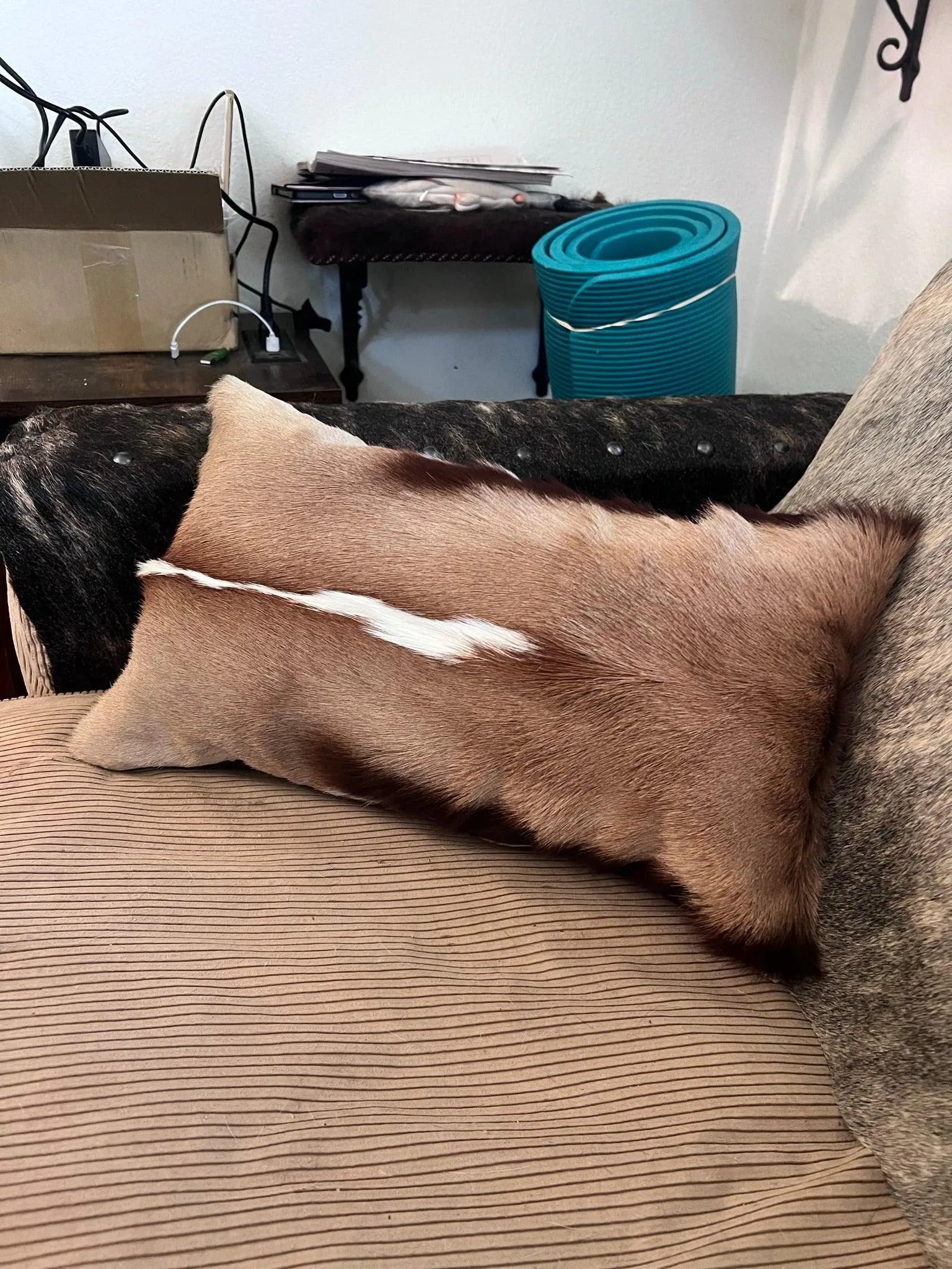Springbok Accent Pillows