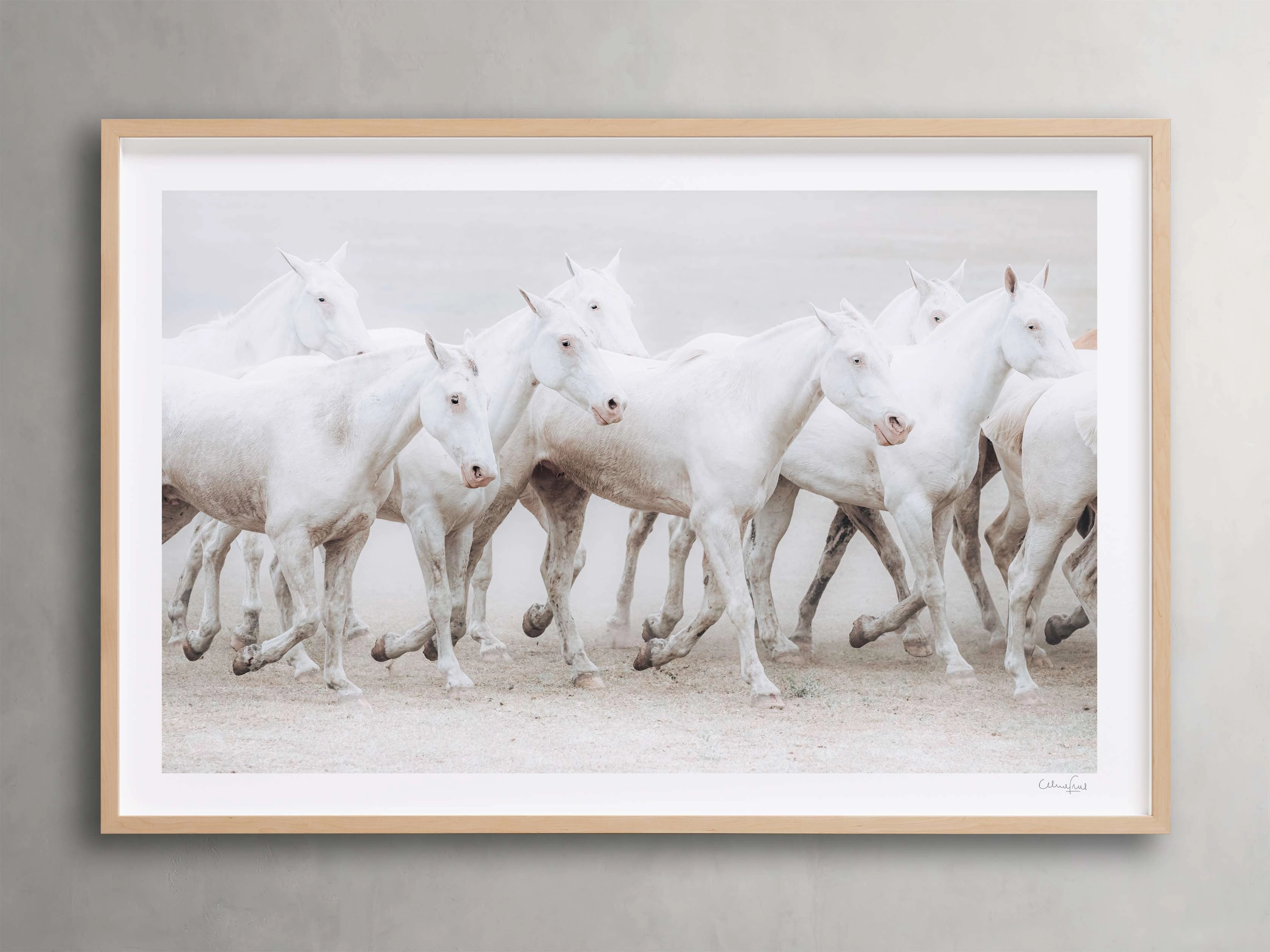 Stampede Framed Print Wall Art,canvas wall art set