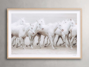 Stampede Framed Print Wall Art,canvas wall art set