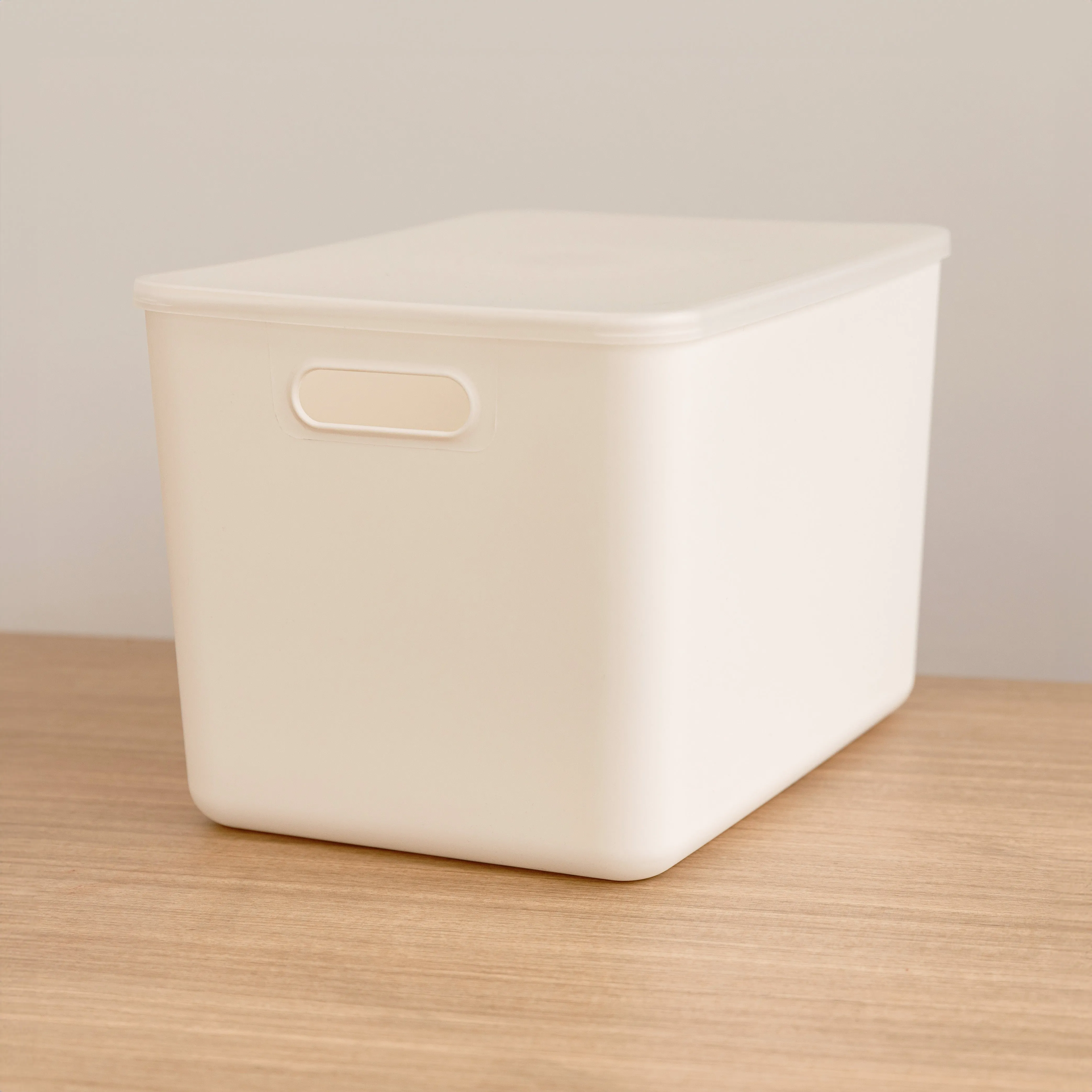Storage Container with Plastic Lid - Jumbo Figurines,Decorative Ornaments