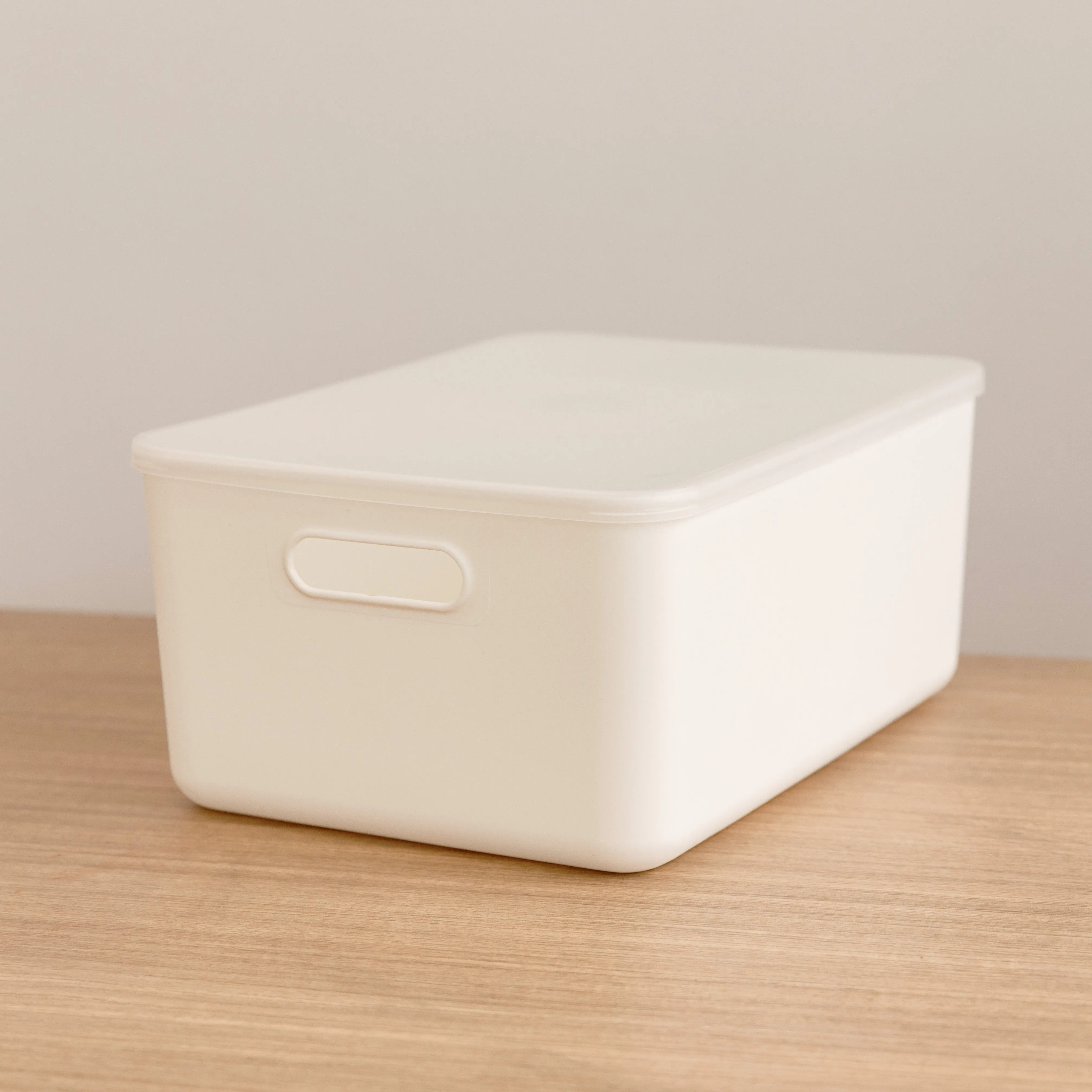 Storage Container with Plastic Lid- Large Figurines,Decorative Ornaments