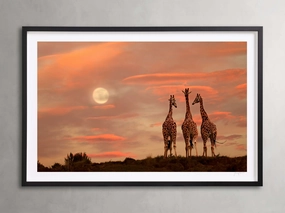 Sunset Gathering Framed Print Wall Art,canvas wall art set