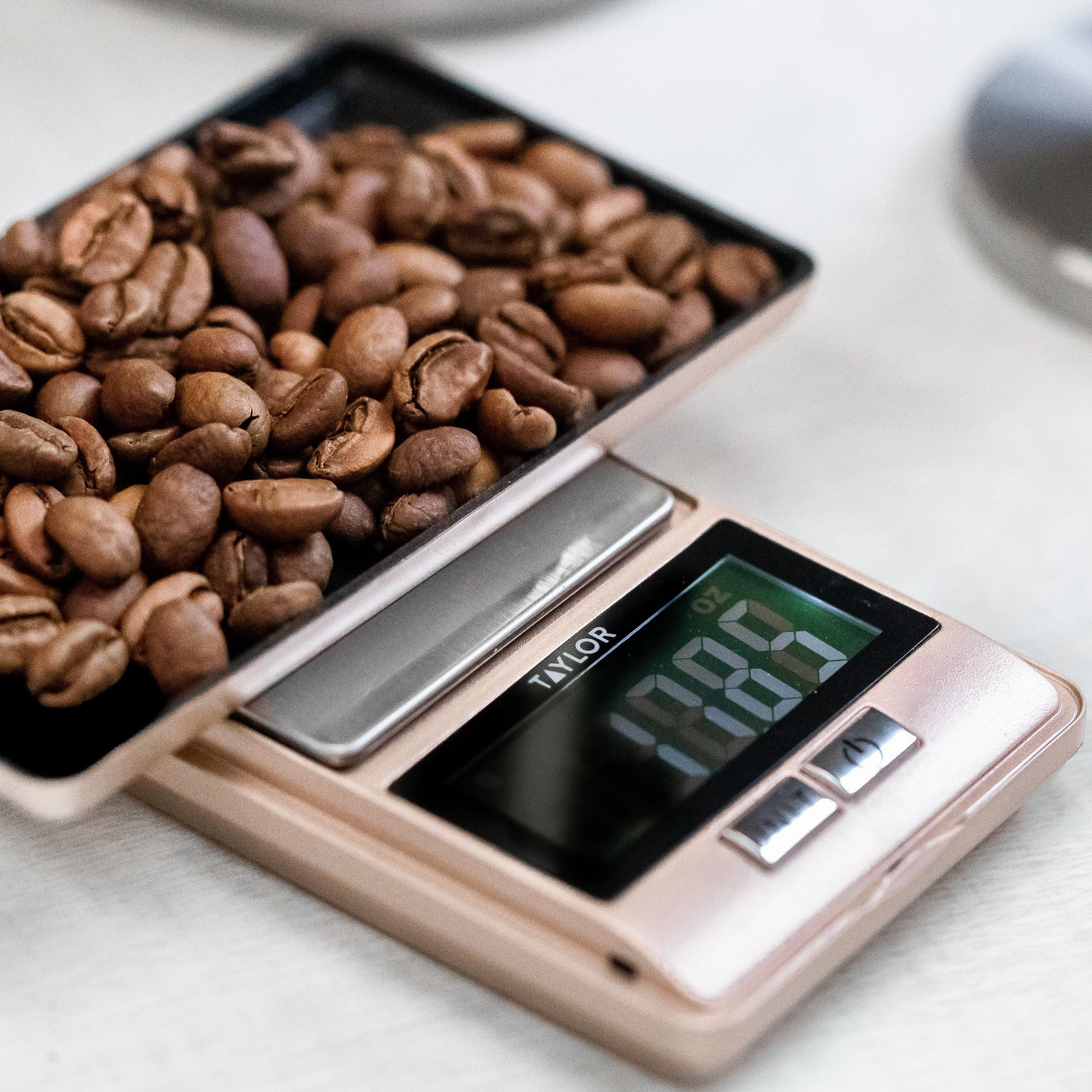 Taylor Ultra Precision Scale