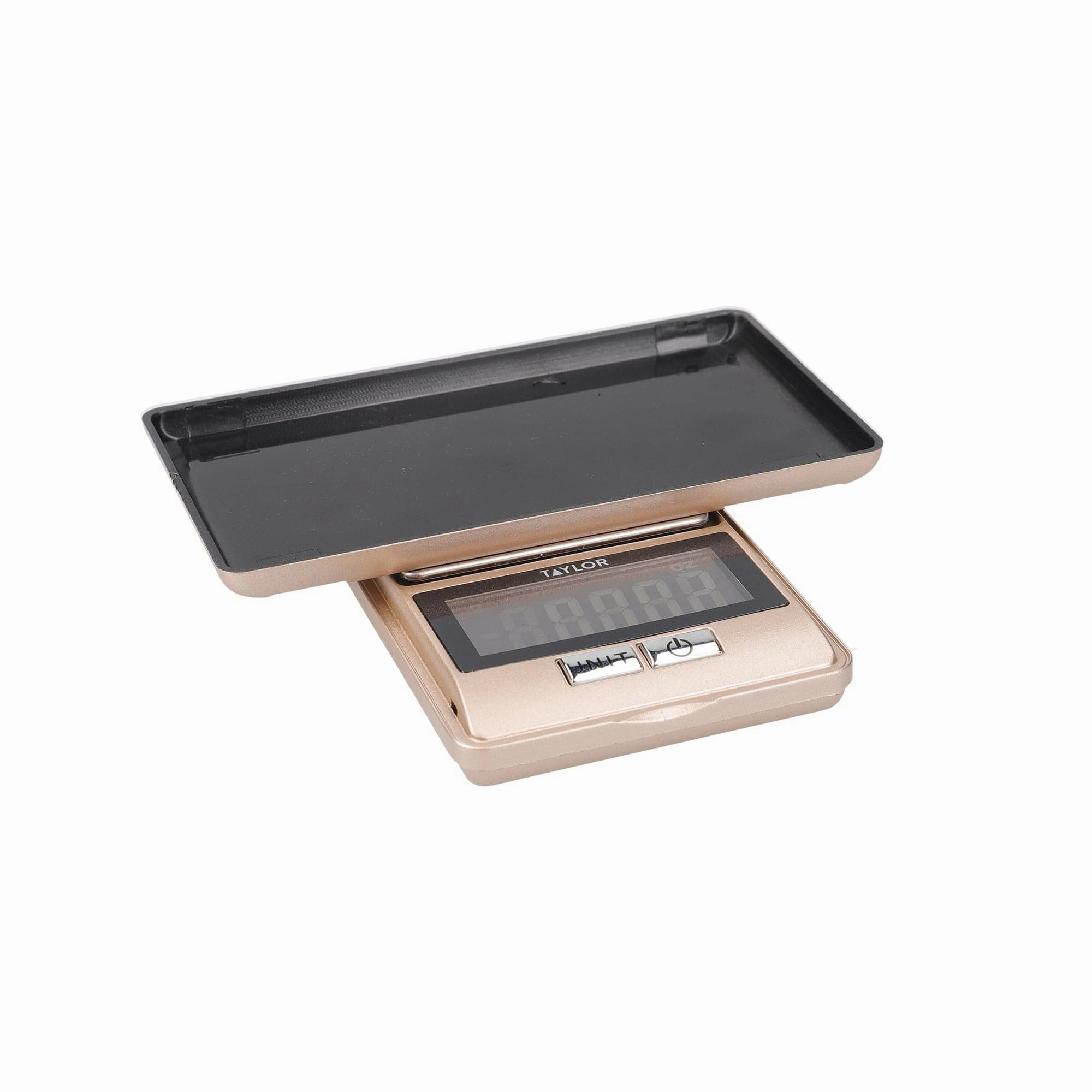 Taylor Ultra Precision Scale