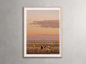 The Great Plains IV Framed Print Wall Art,canvas wall art set