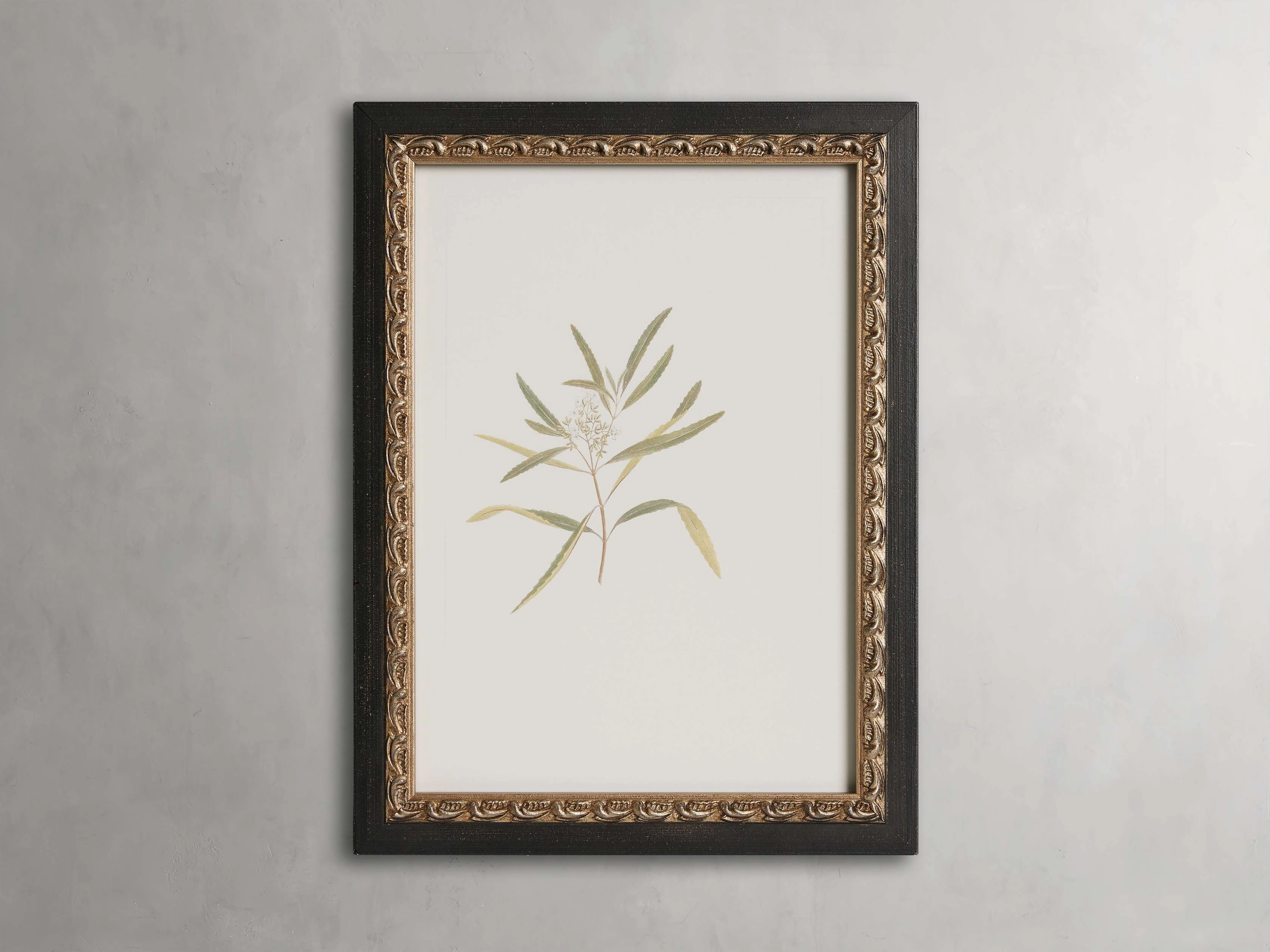 Thistle Framed Print Wall Art,canvas wall art set