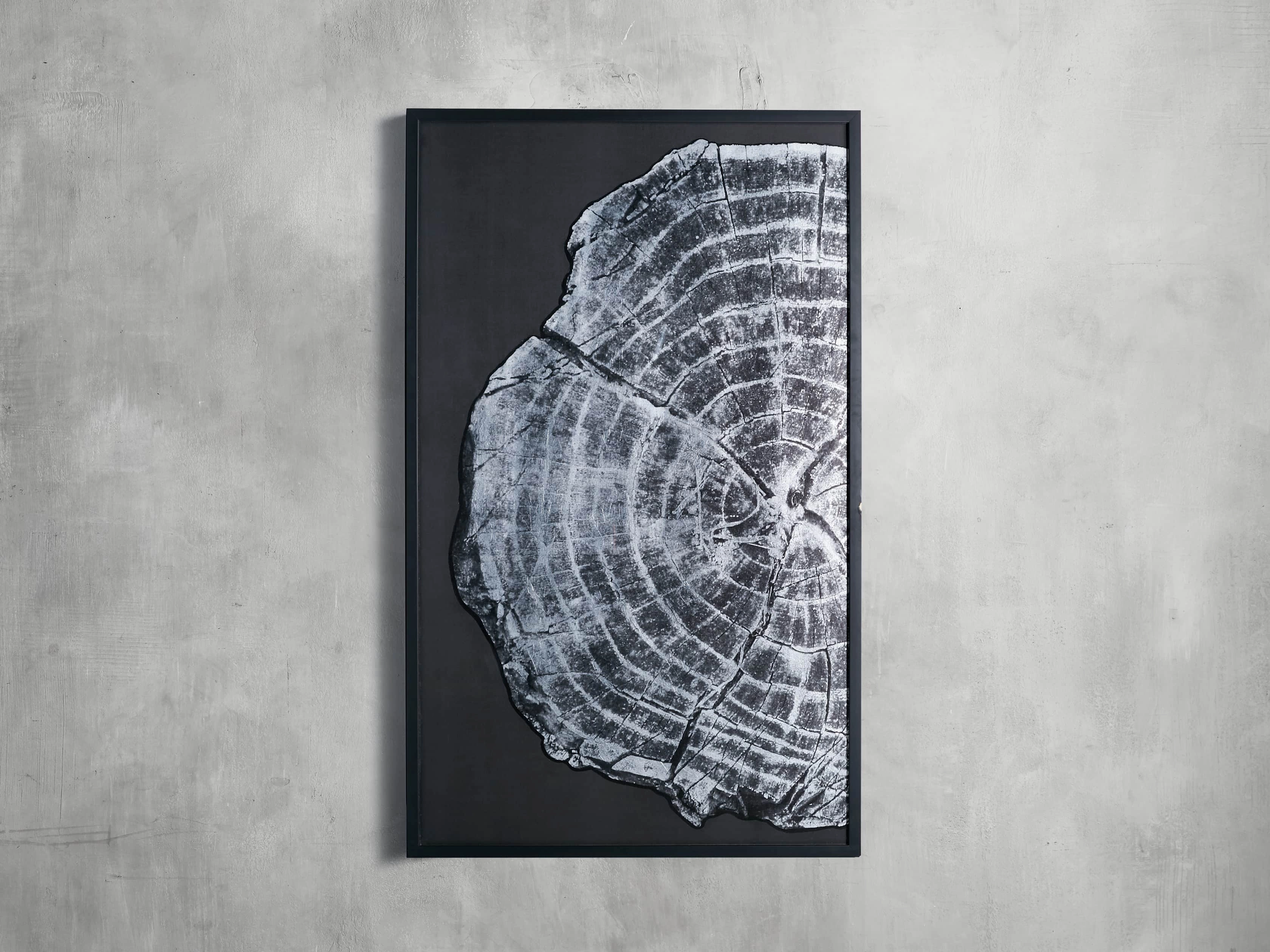 Tree Ring I Framed Print Wall Art,canvas wall art set