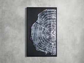 Tree Ring I Framed Print Wall Art,canvas wall art set