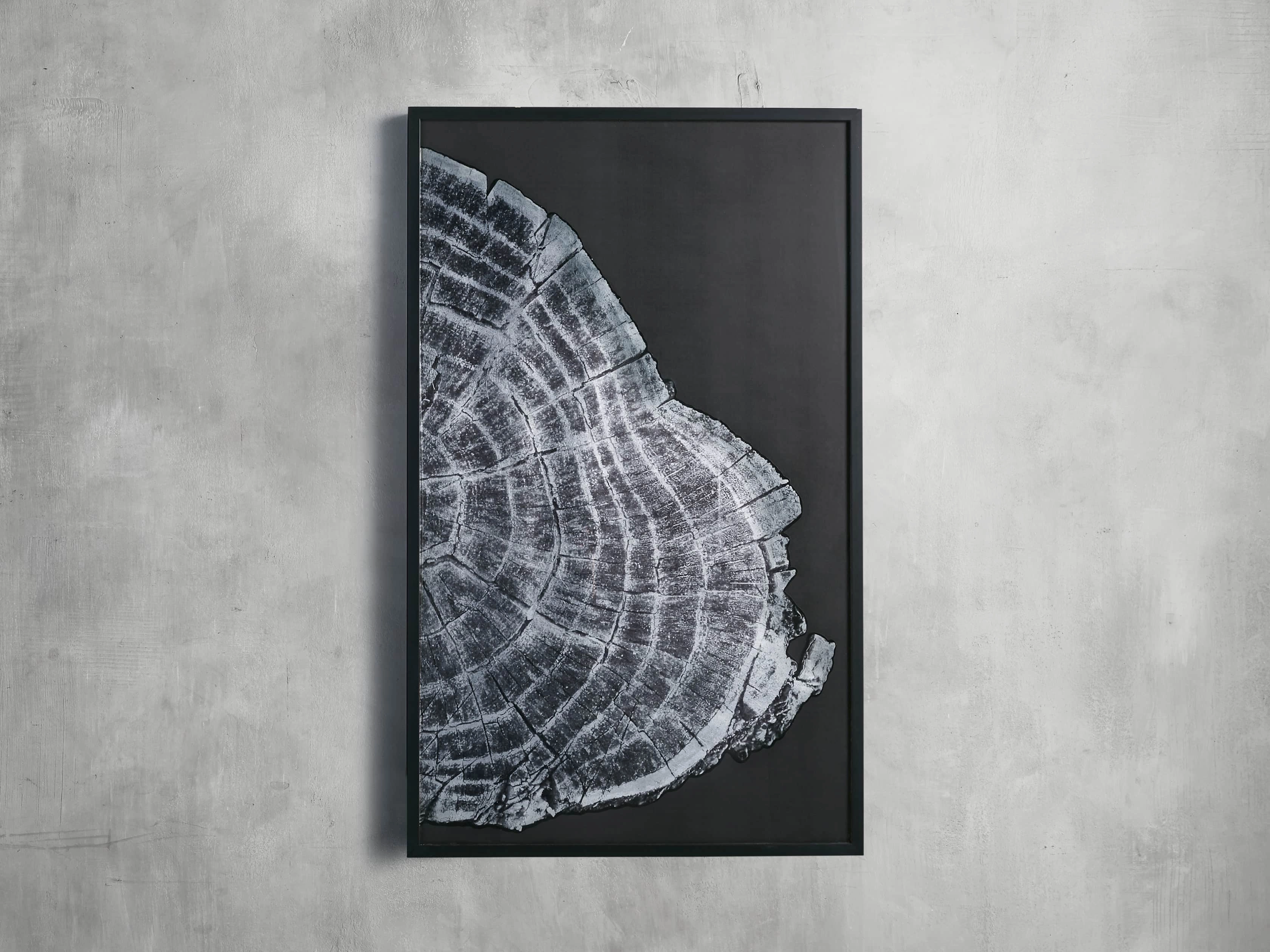 Tree Ring II Framed Print Wall Art,canvas wall art set