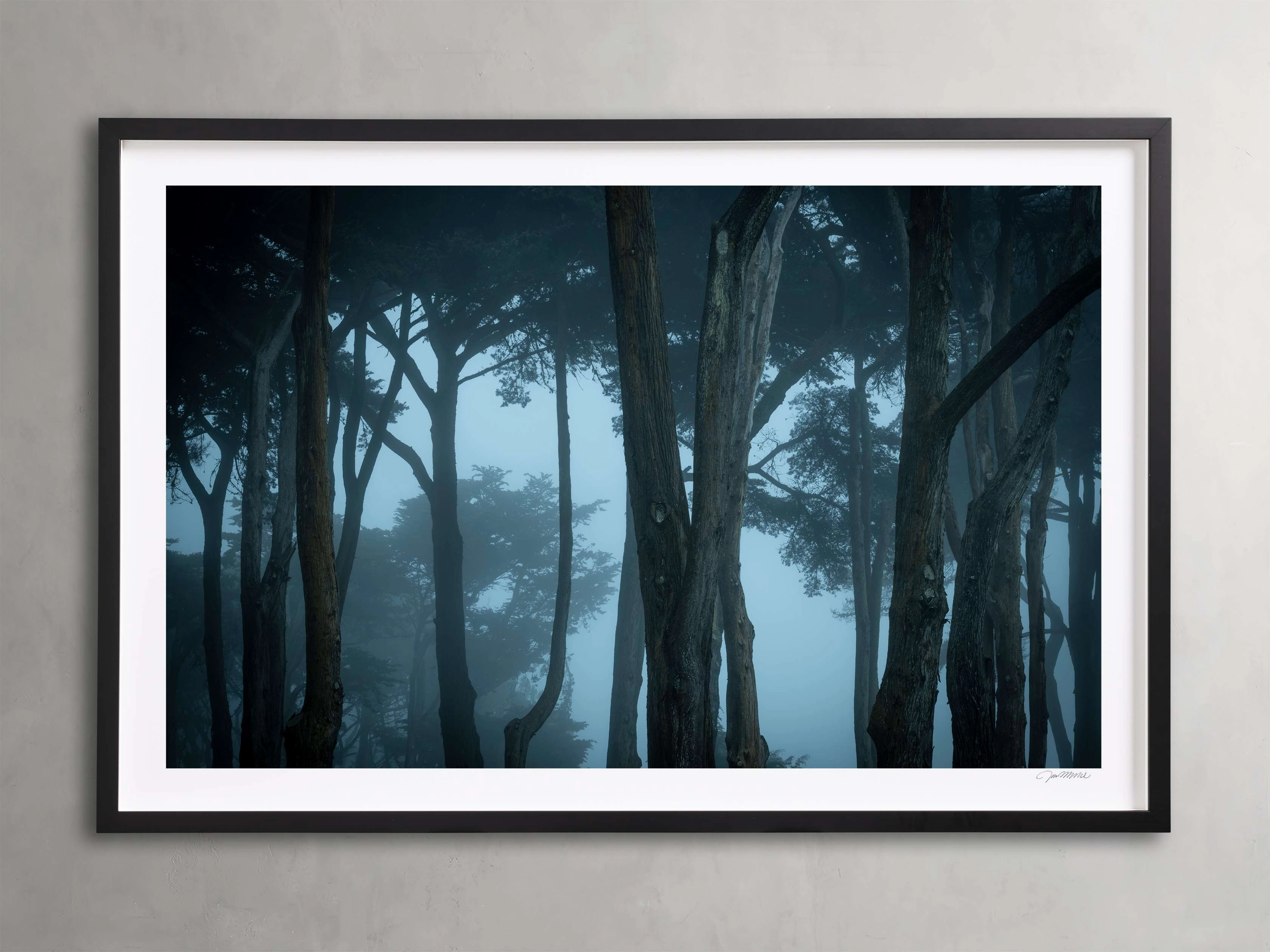 Trees & Shadows I Framed Print Wall Art,canvas wall art set