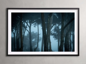 Trees & Shadows I Framed Print Wall Art,canvas wall art set