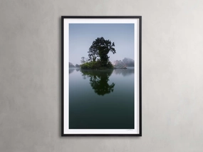 Trees & Shadows II Framed Print Wall Art,canvas wall art set