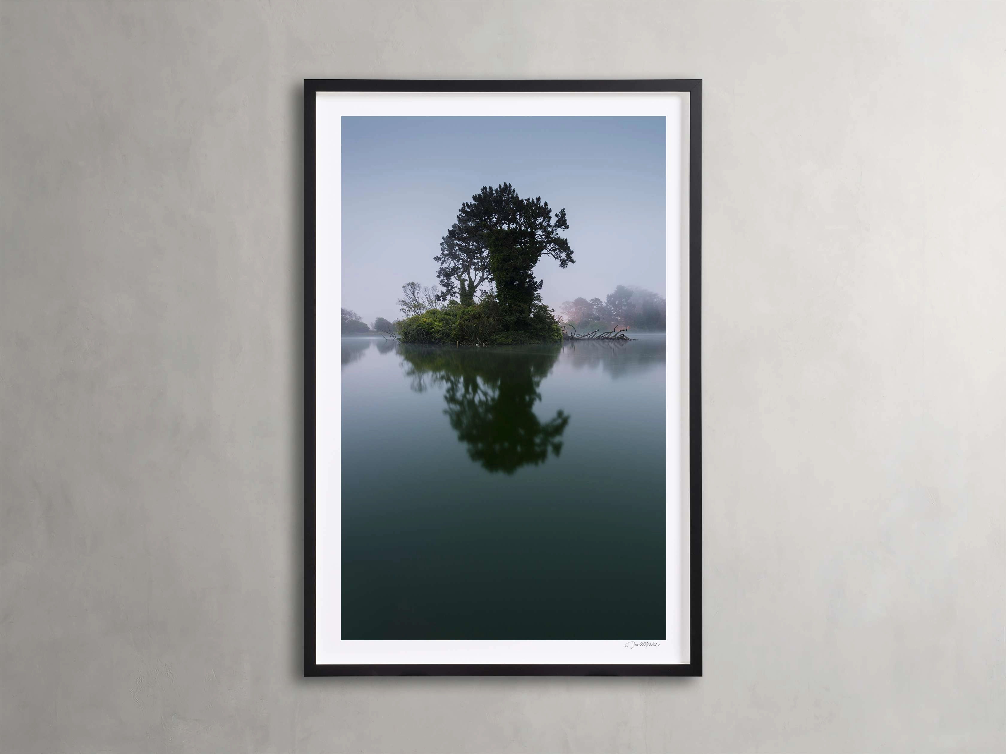 Trees & Shadows II Framed Print Wall Art,canvas wall art set