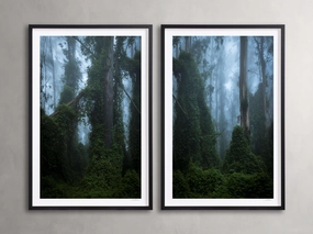 Trees & Shadows III Framed Print (Set of 2) Wall Art,canvas wall art set