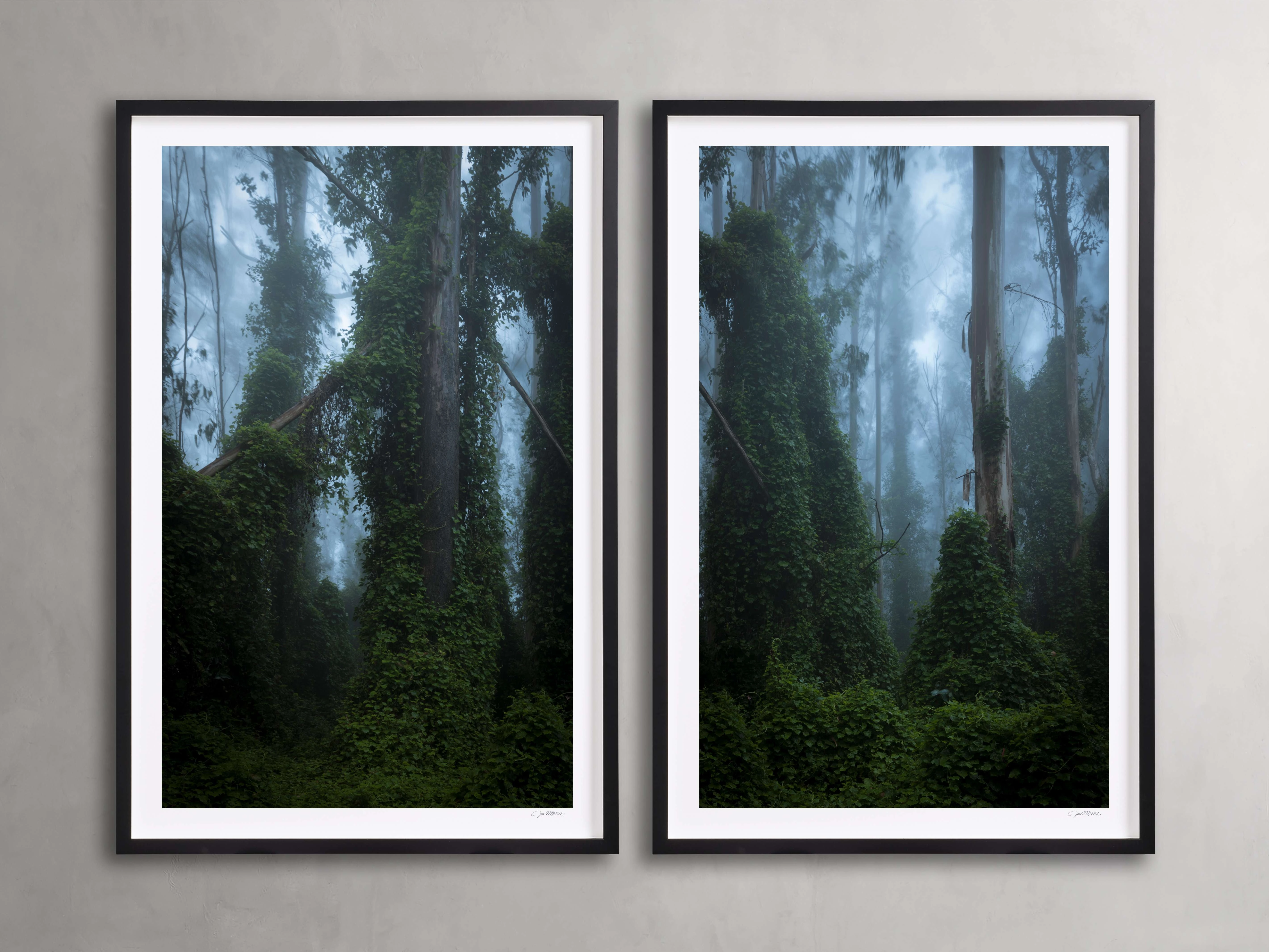 Trees & Shadows III Framed Print (Set of 2) Wall Art,canvas wall art set