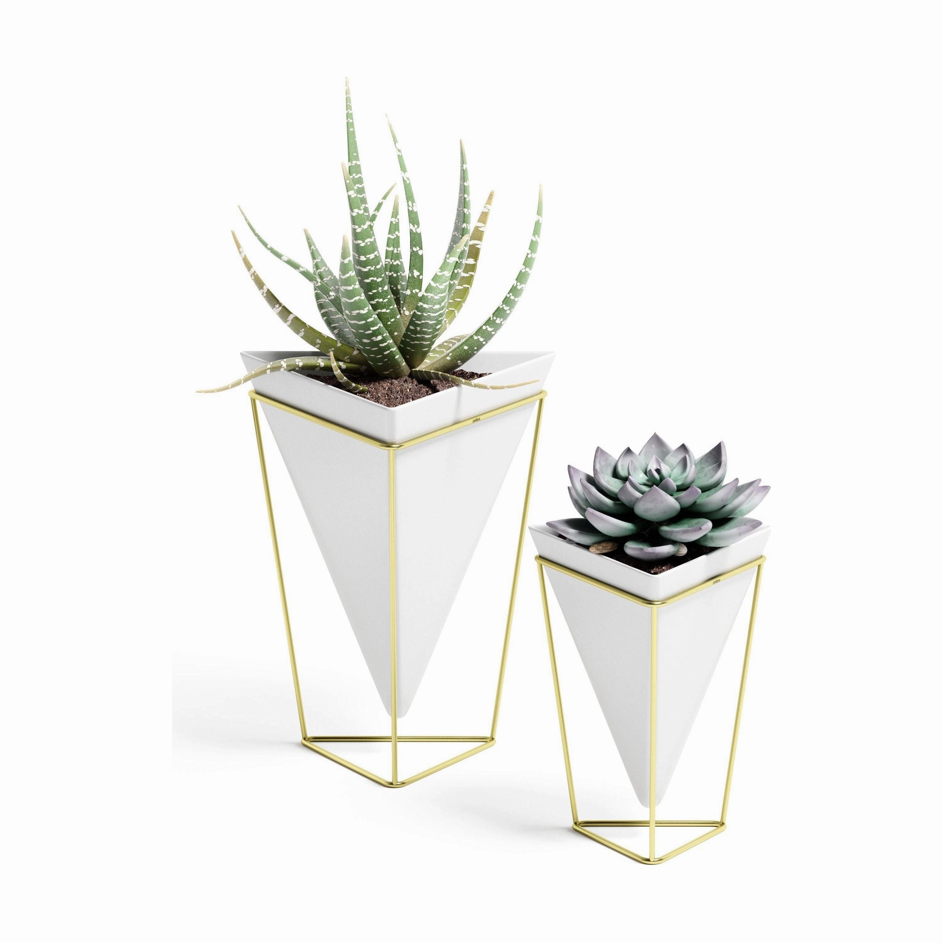 Trigg Tabletop Vessels (Set of 2)