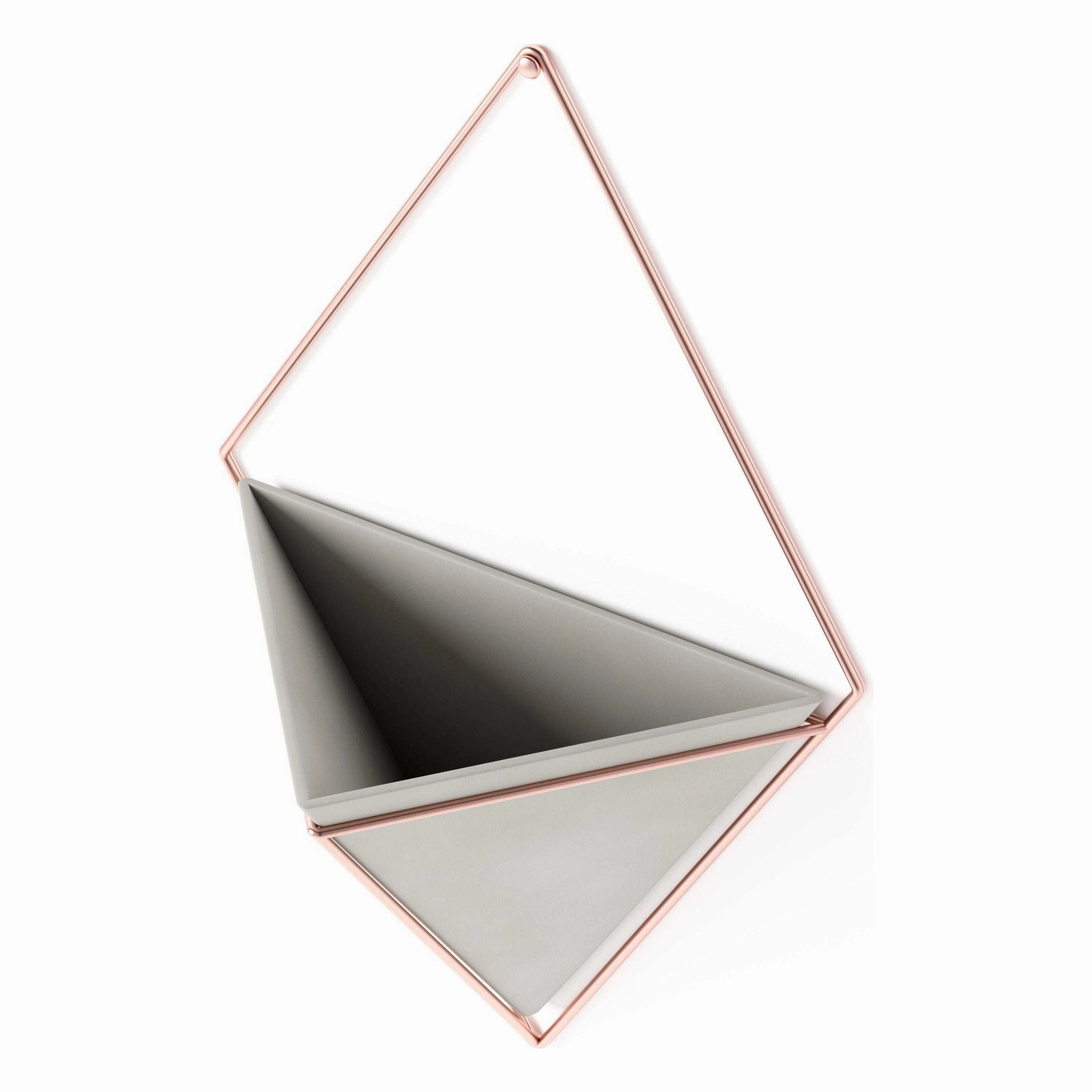 Trigg Wall Display