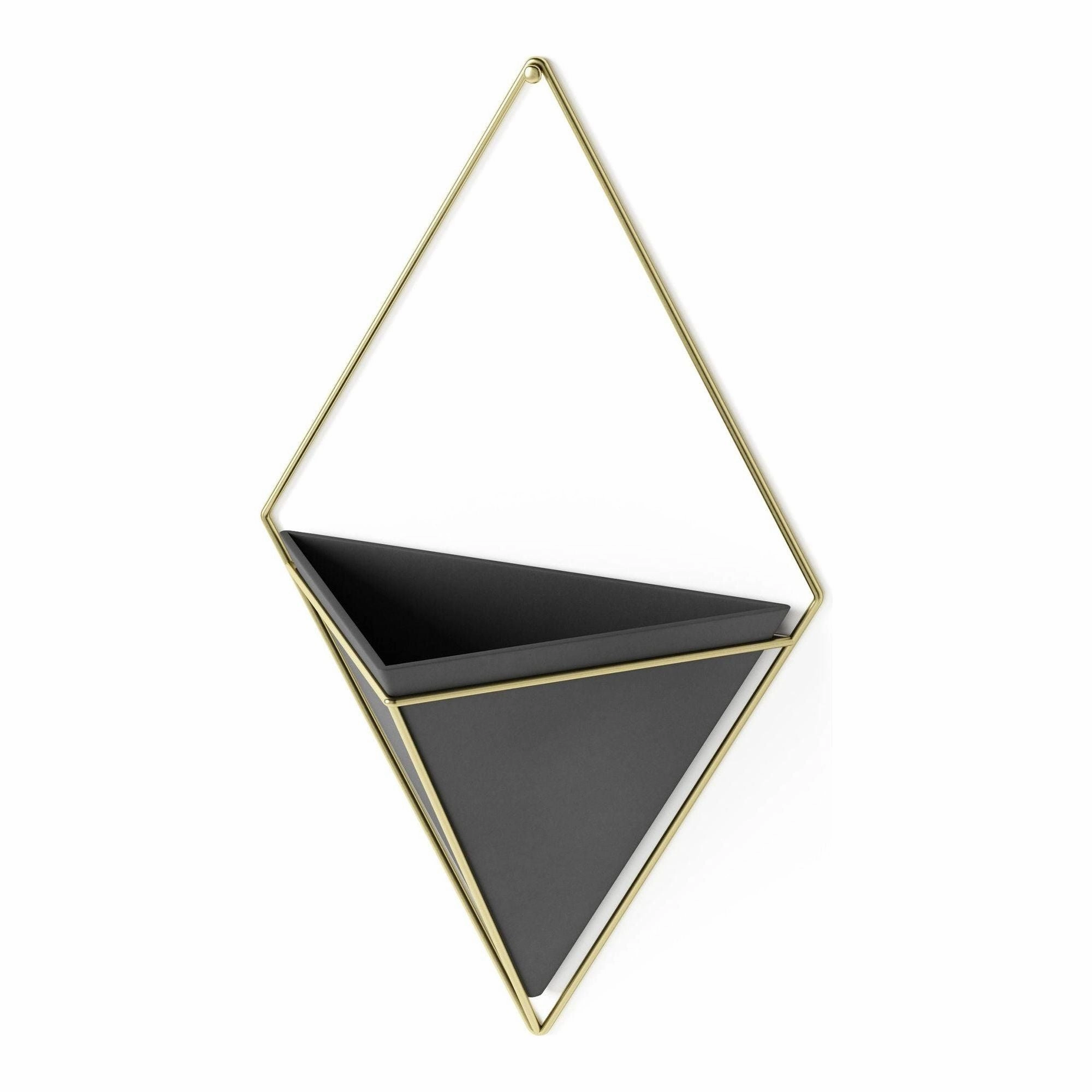 Trigg Wall Display