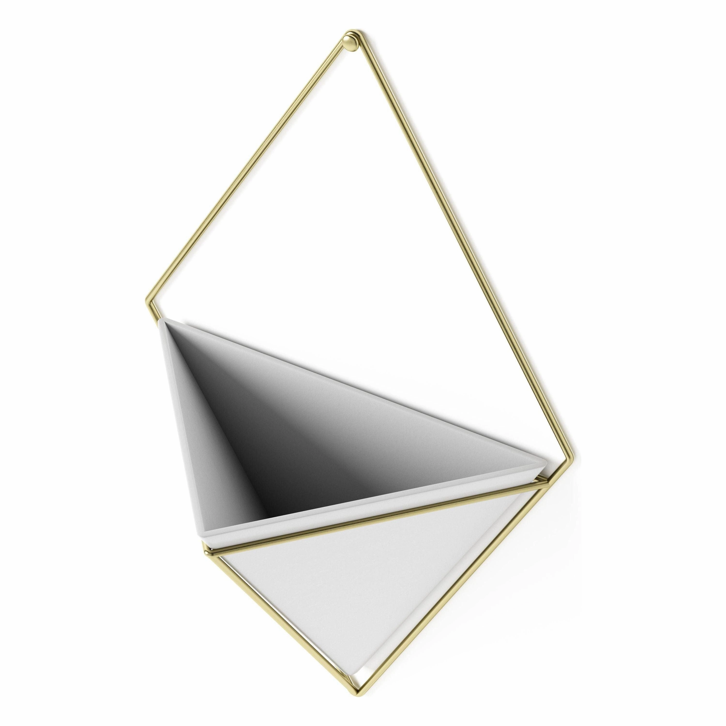 Trigg Wall Display