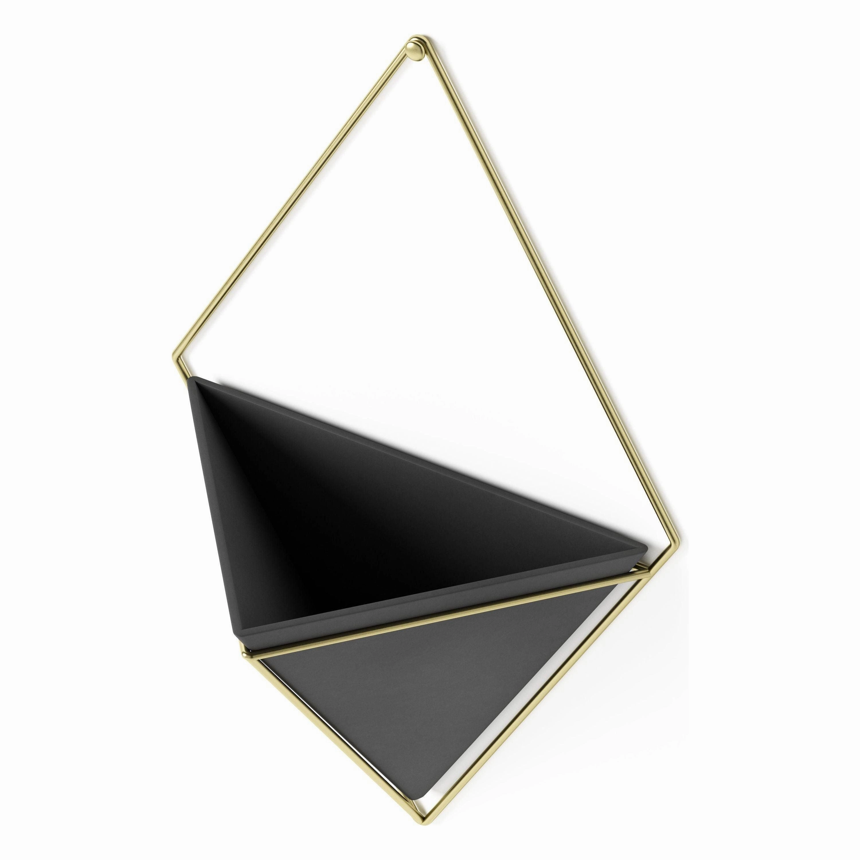 Trigg Wall Display