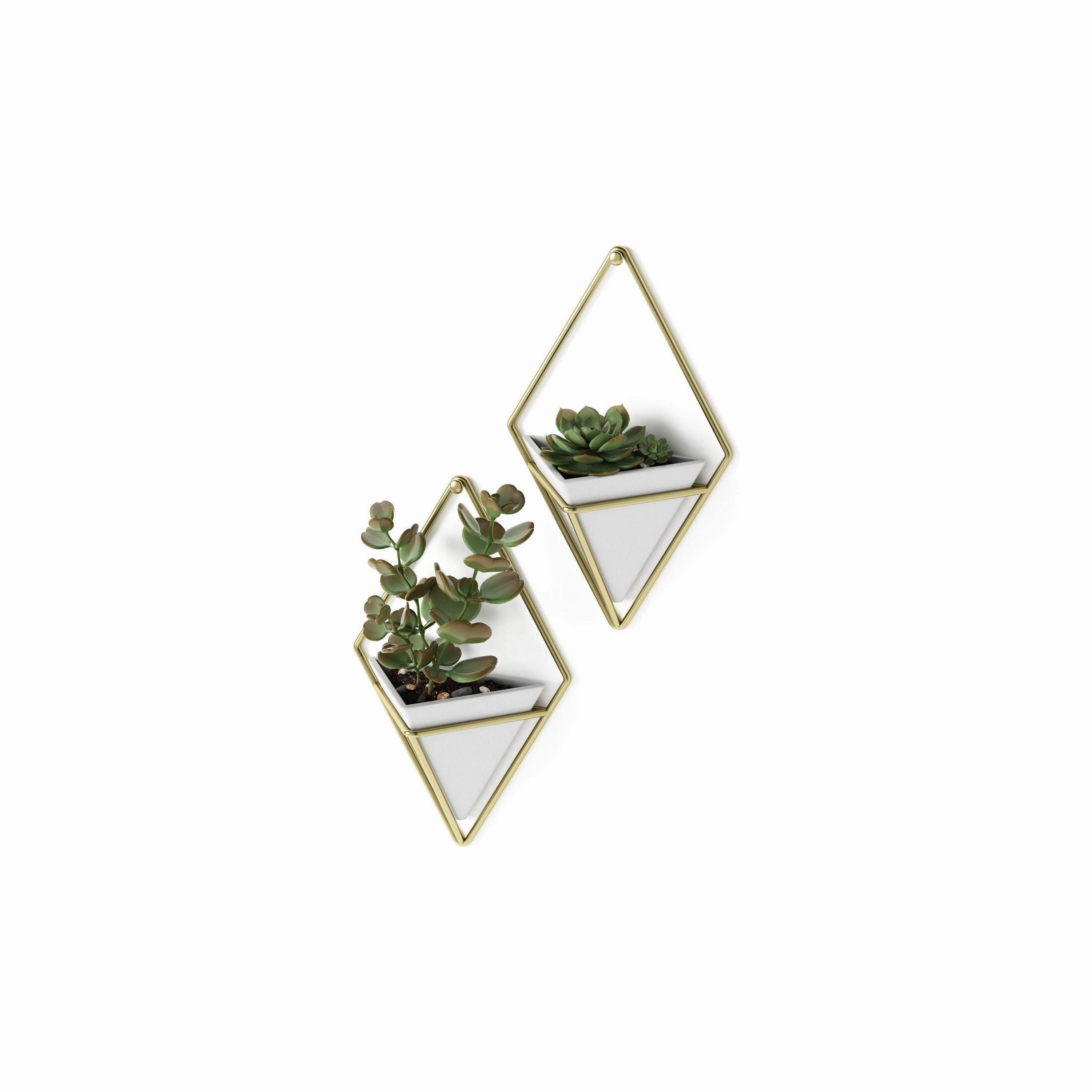 Trigg Wall Display (Set of 2)