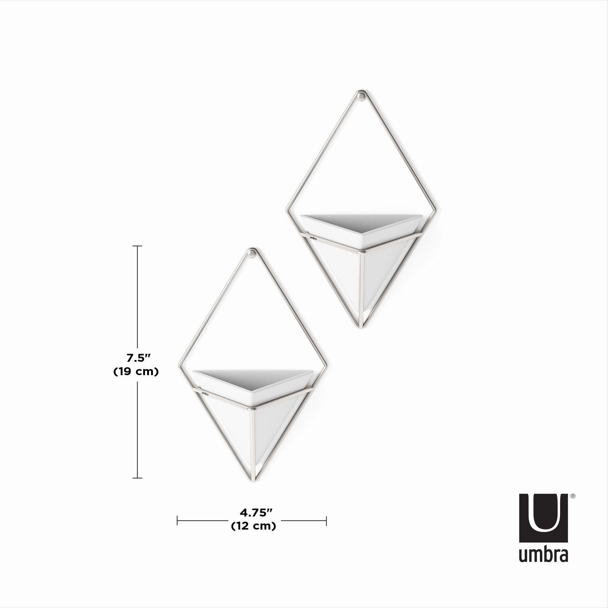 Trigg Wall Display (Set of 2)