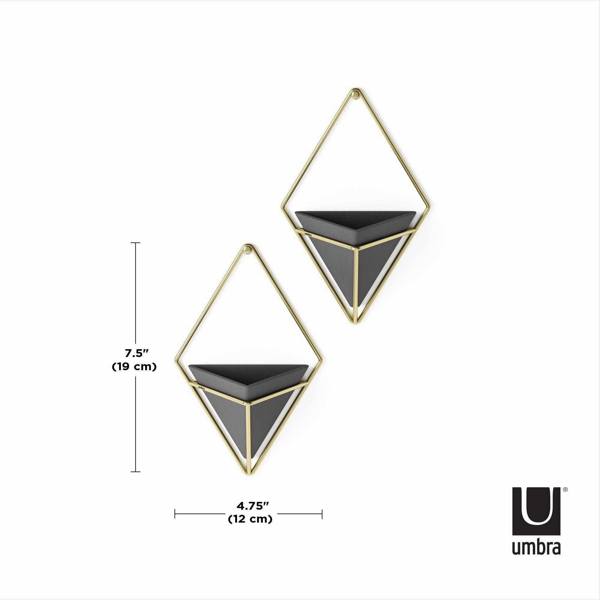 Trigg Wall Display (Set of 2)