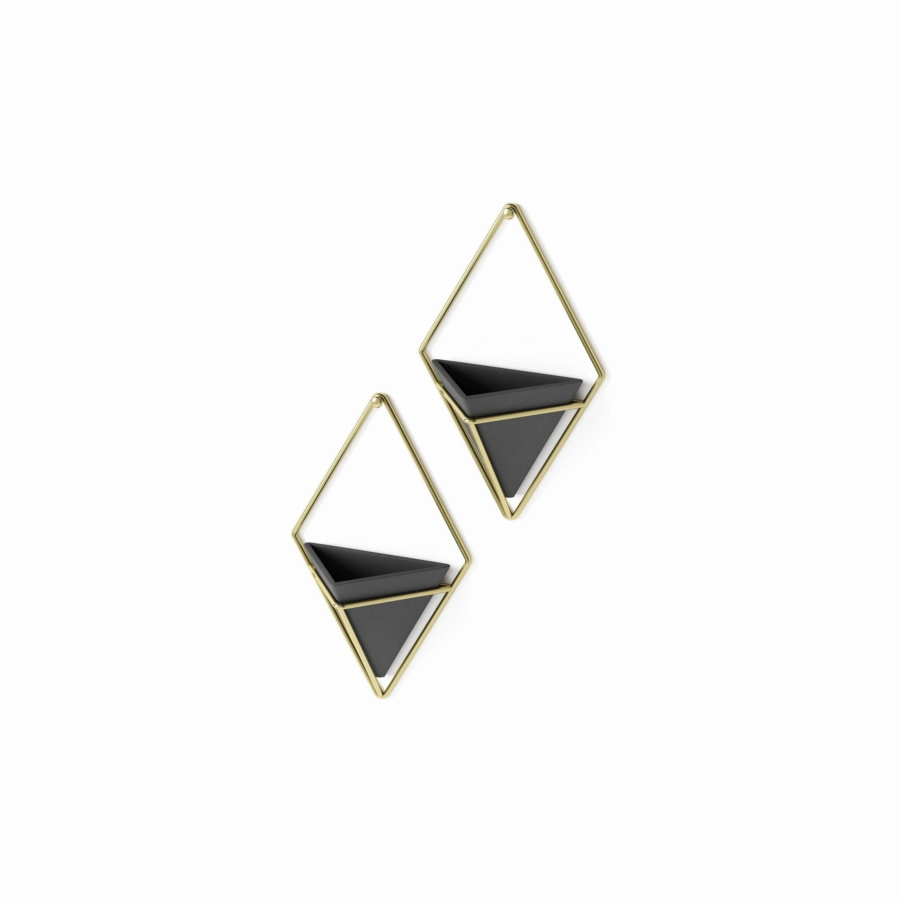 Trigg Wall Display (Set of 2)