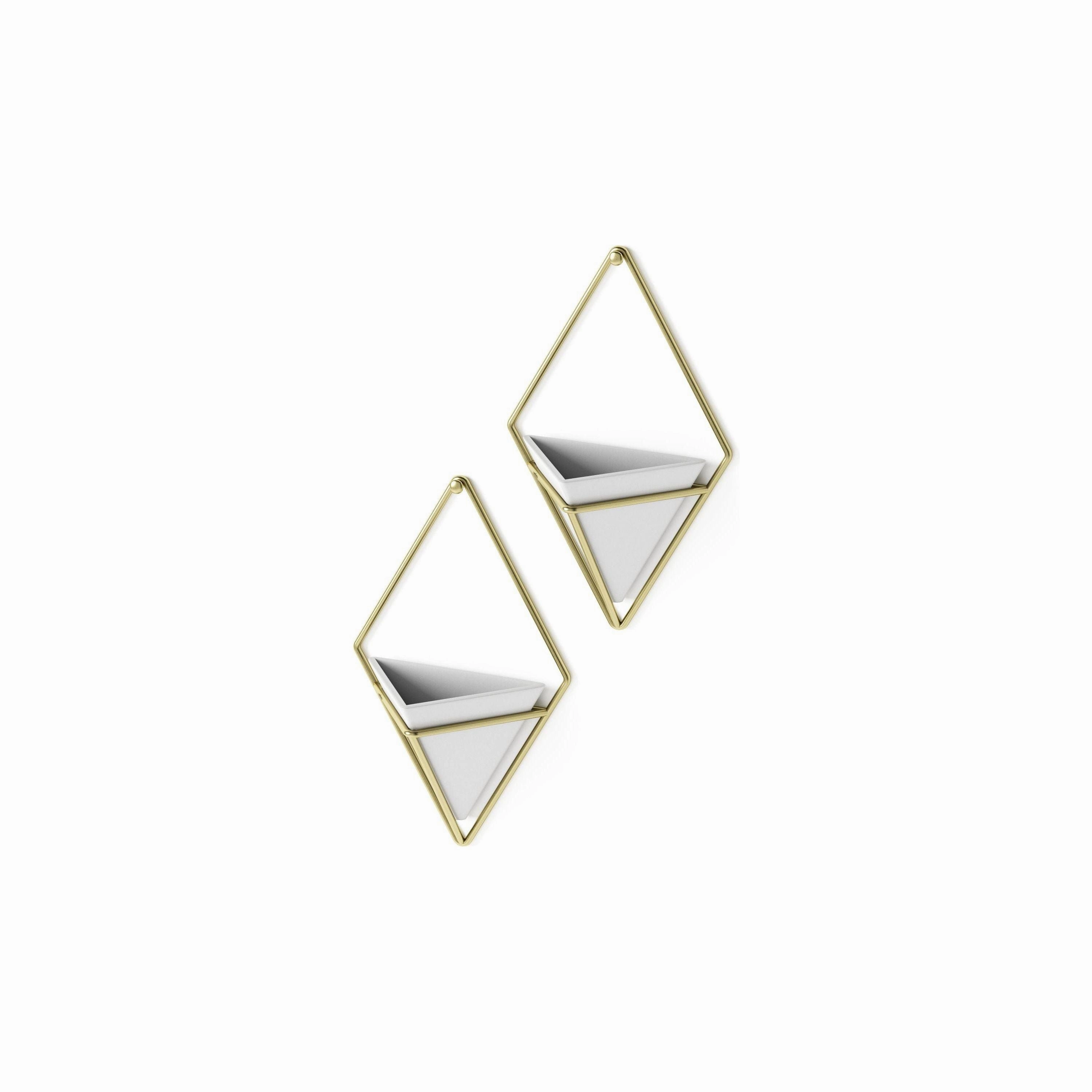 Trigg Wall Display (Set of 2)