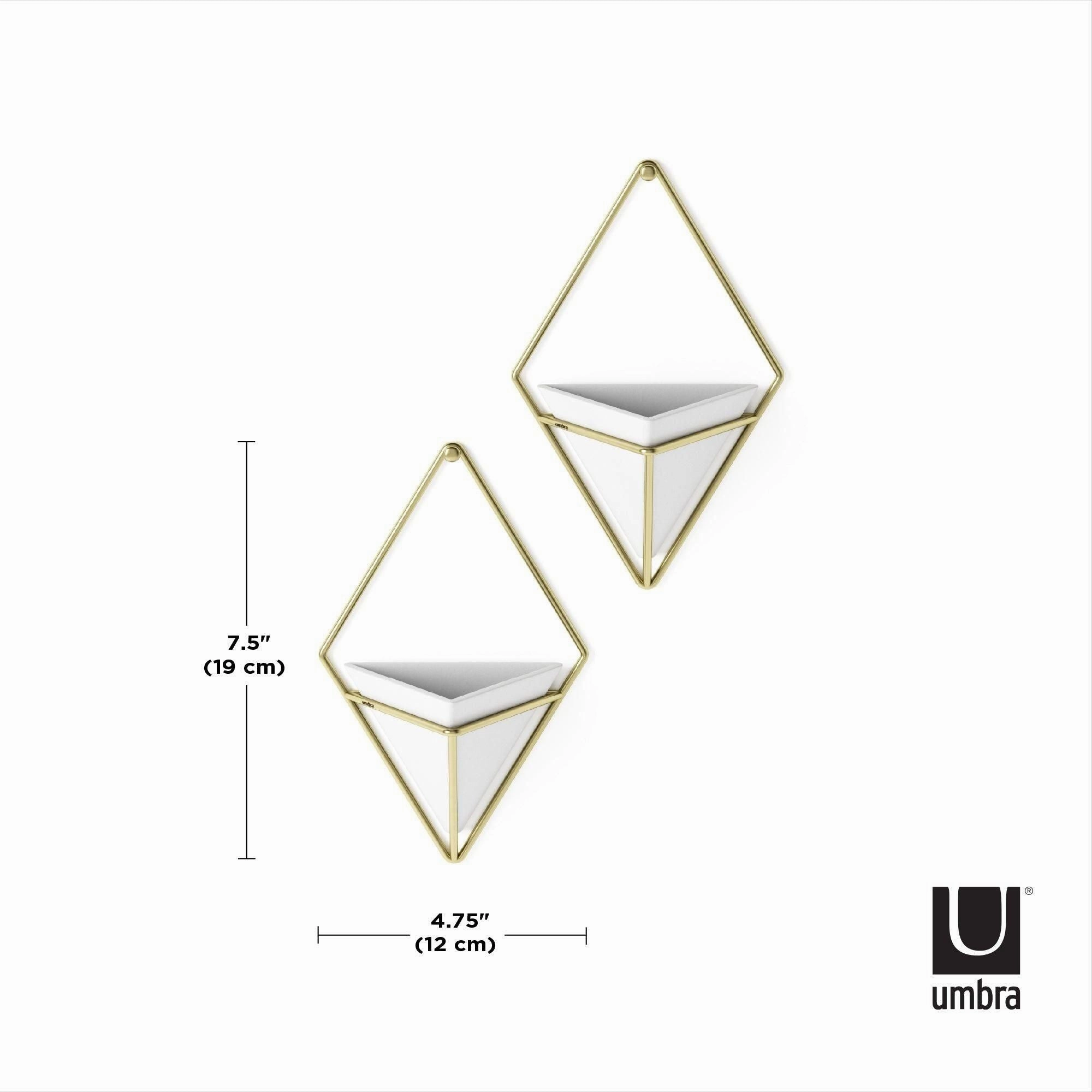 Trigg Wall Display (Set of 2)
