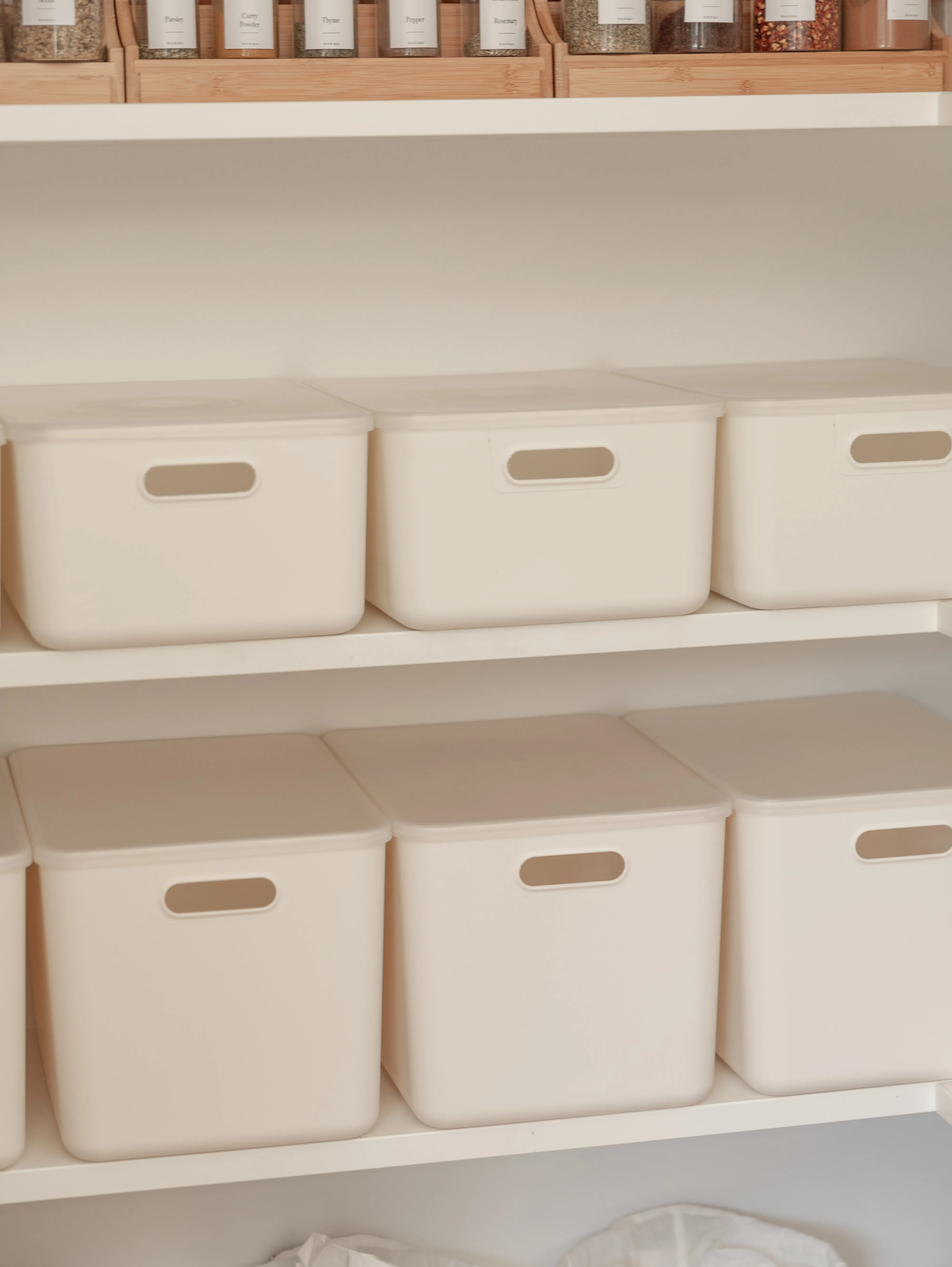 White Storage Container with Plastic Lid - 8 Pack
