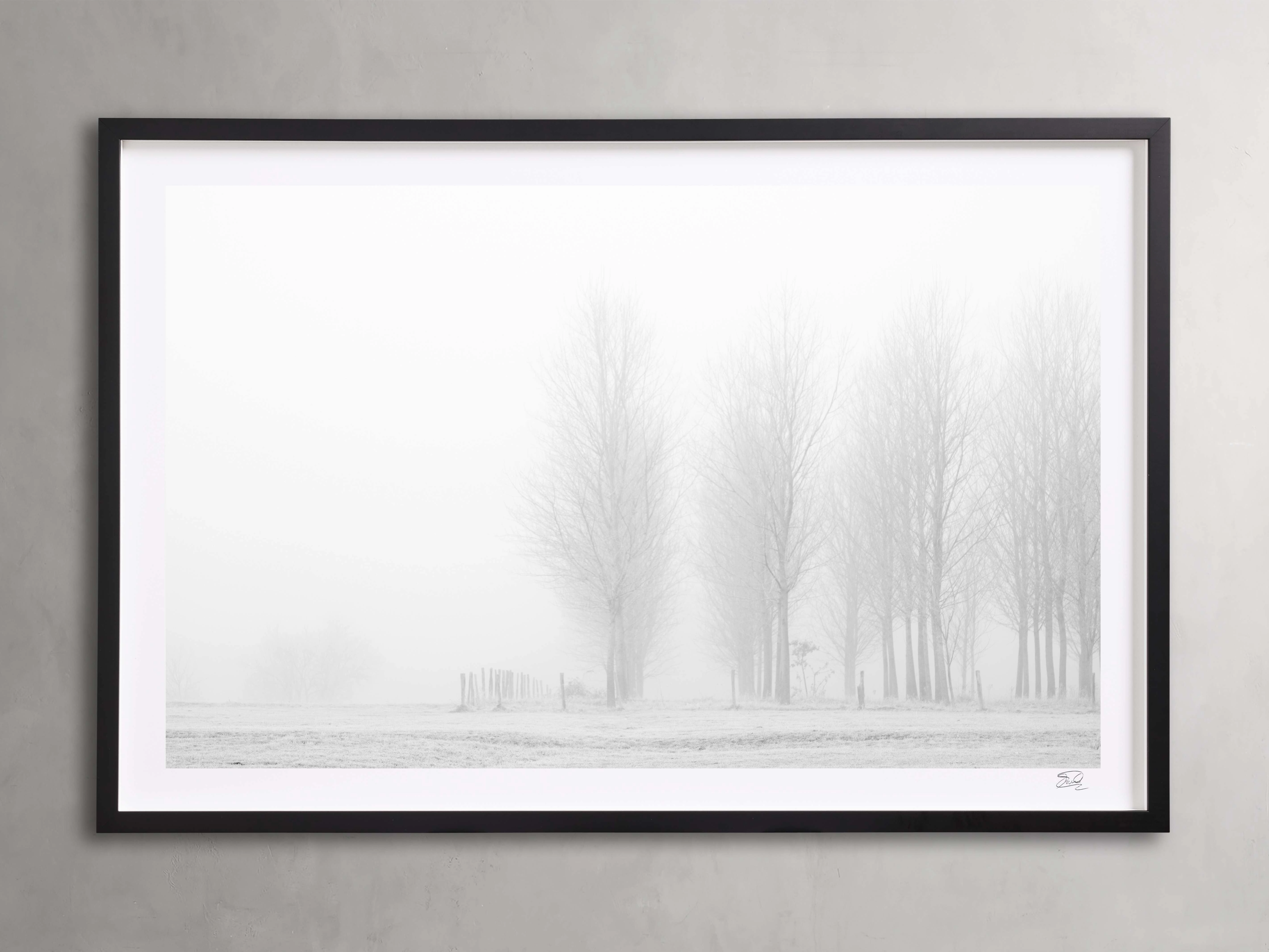 Winter I Framed Print Wall Art,canvas wall art set