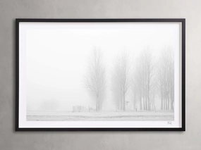 Winter I Framed Print Wall Art,canvas wall art set