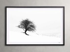 Winter III  Framed Print Wall Art,canvas wall art set
