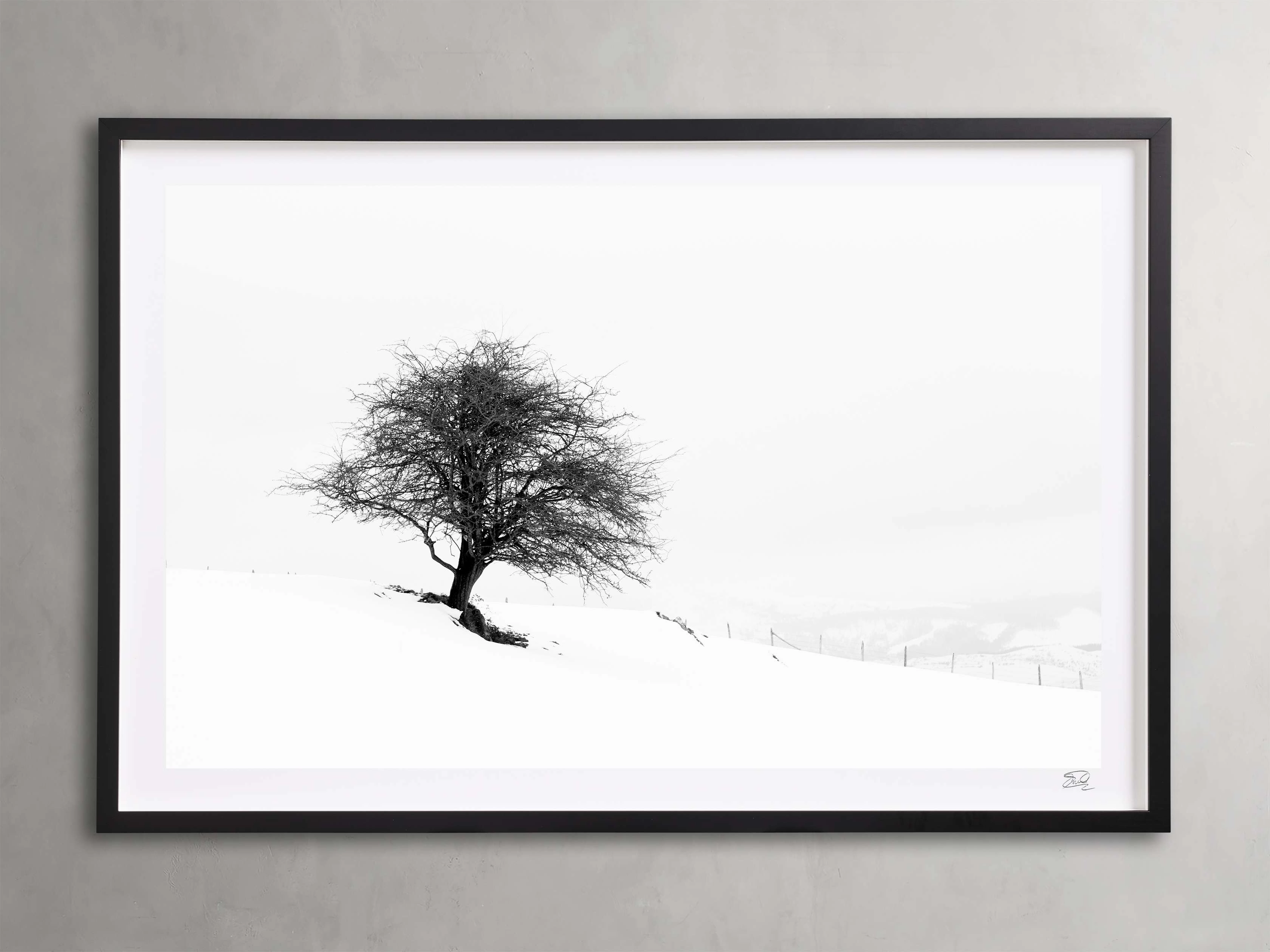 Winter III  Framed Print Wall Art,canvas wall art set