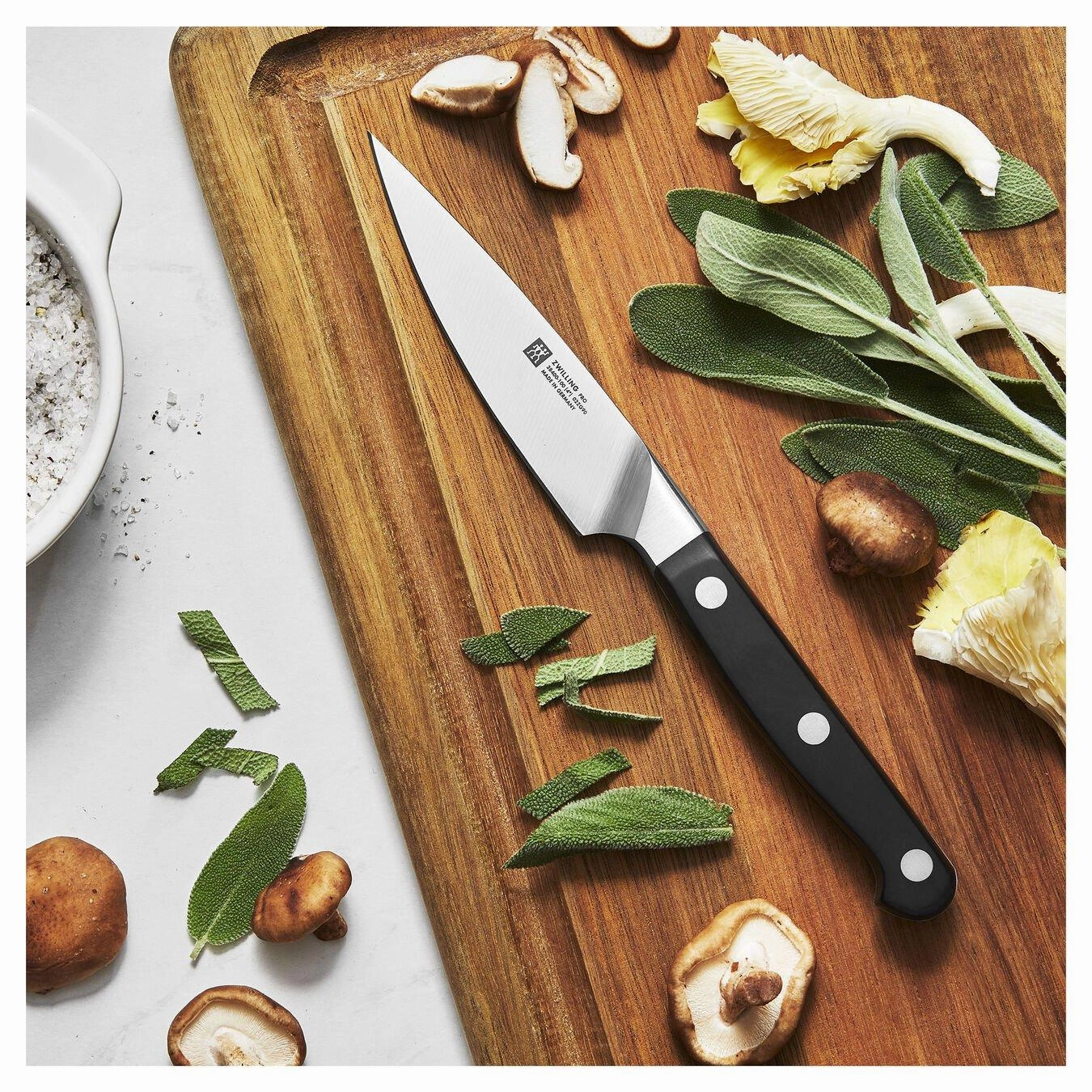 Zwilling Pro 4in Paring Knife 38400-101